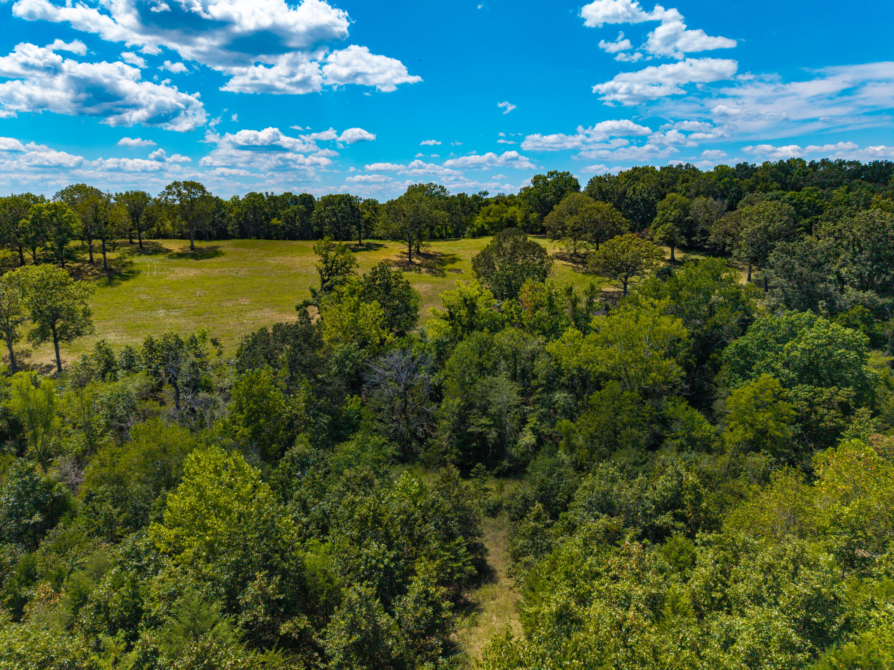 Photo 25 - Land for sale – Lot 7  County Road 635   Theodosia, MO