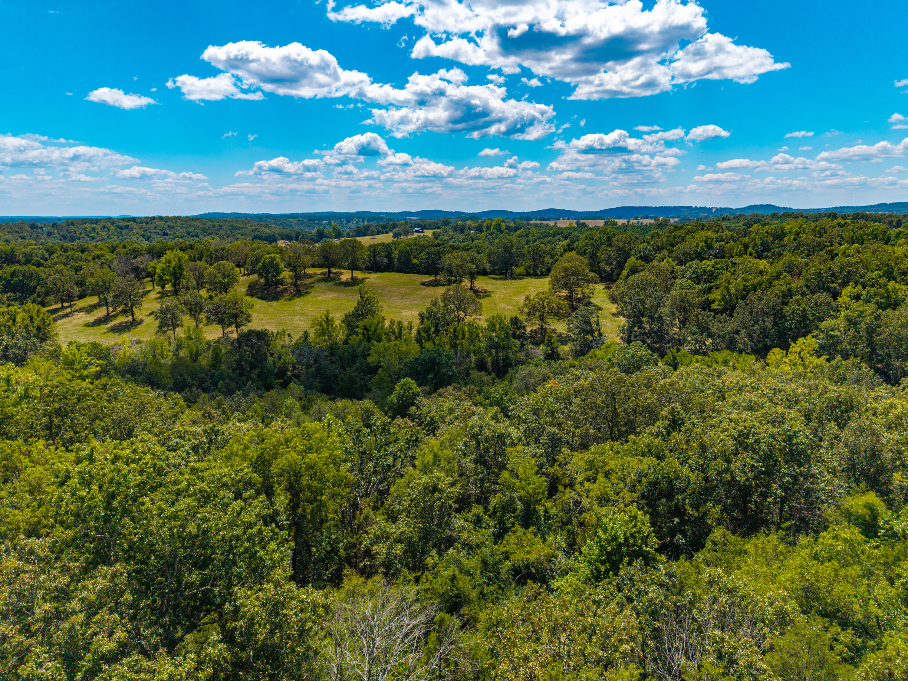 Photo 26 - Land for sale – Lot 7  County Road 635   Theodosia, MO