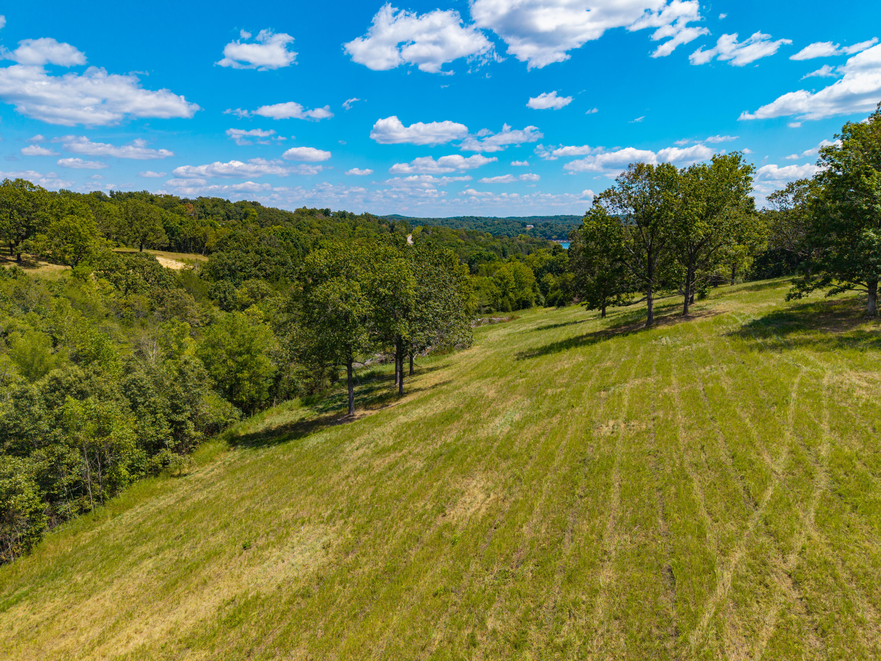 Photo 18 - Land for sale – Lot 7  County Road 635   Theodosia, MO