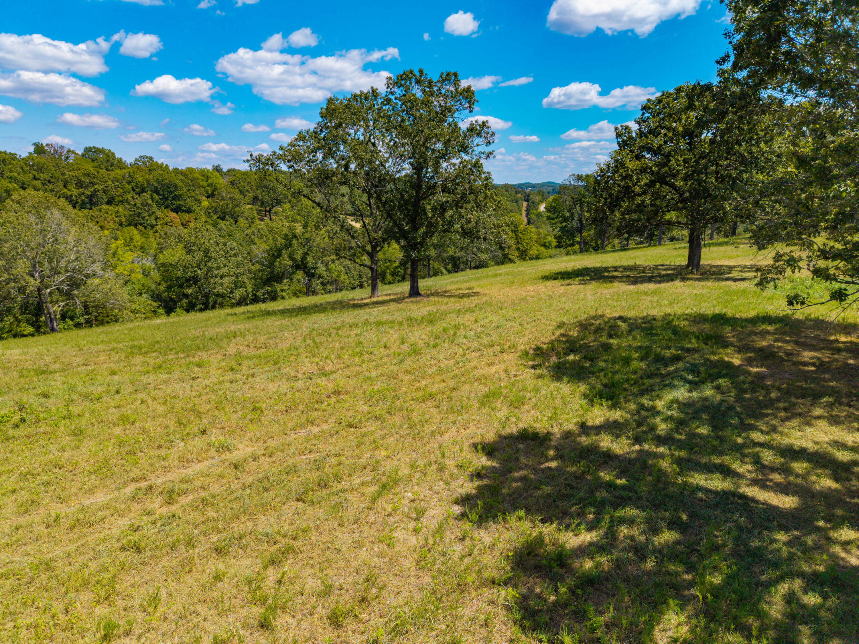 Photo 21 - Land for sale – Lot 7  County Road 635   Theodosia, MO