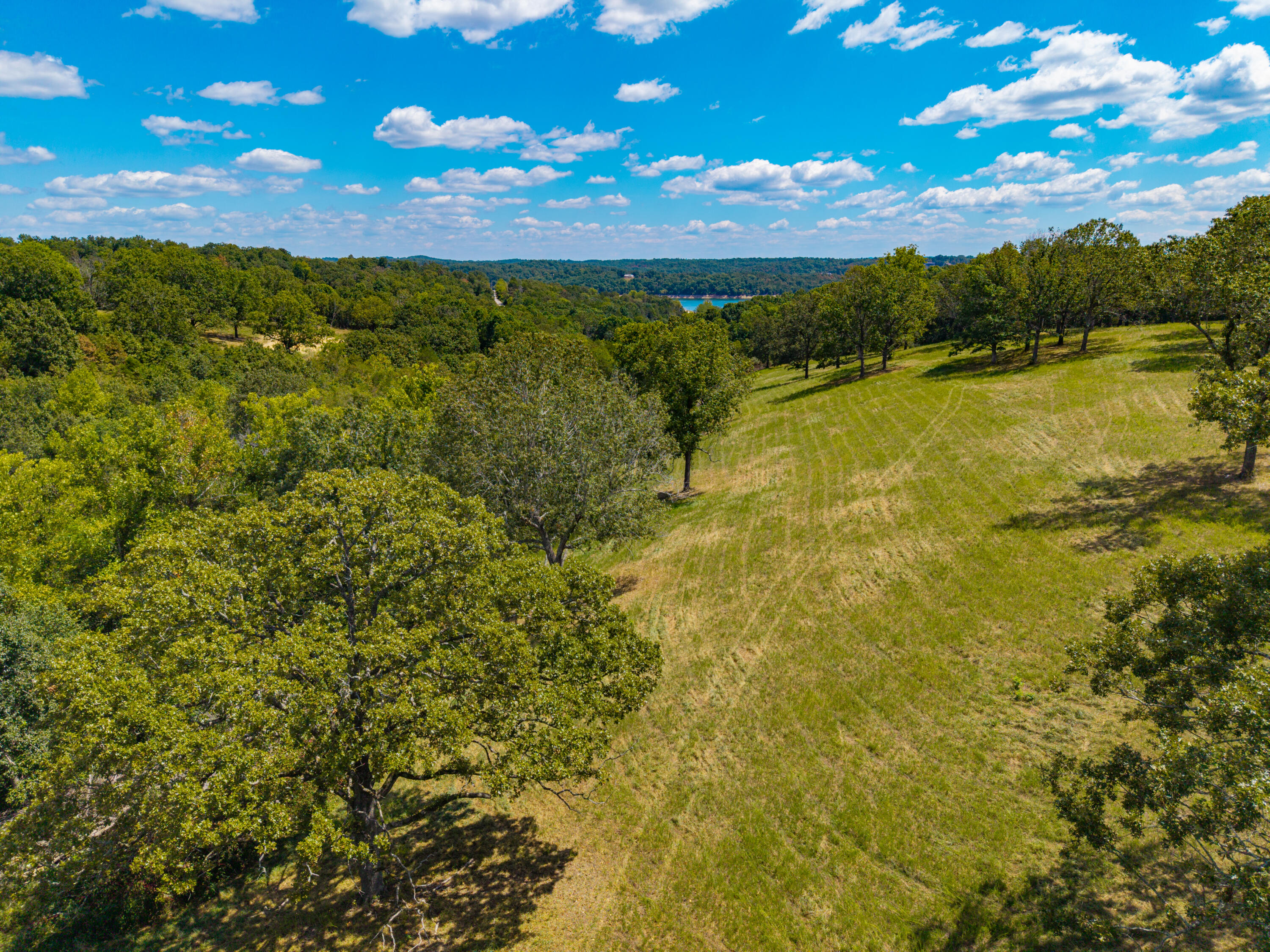 Photo 19 - Land for sale – Lot 7  County Road 635   Theodosia, MO