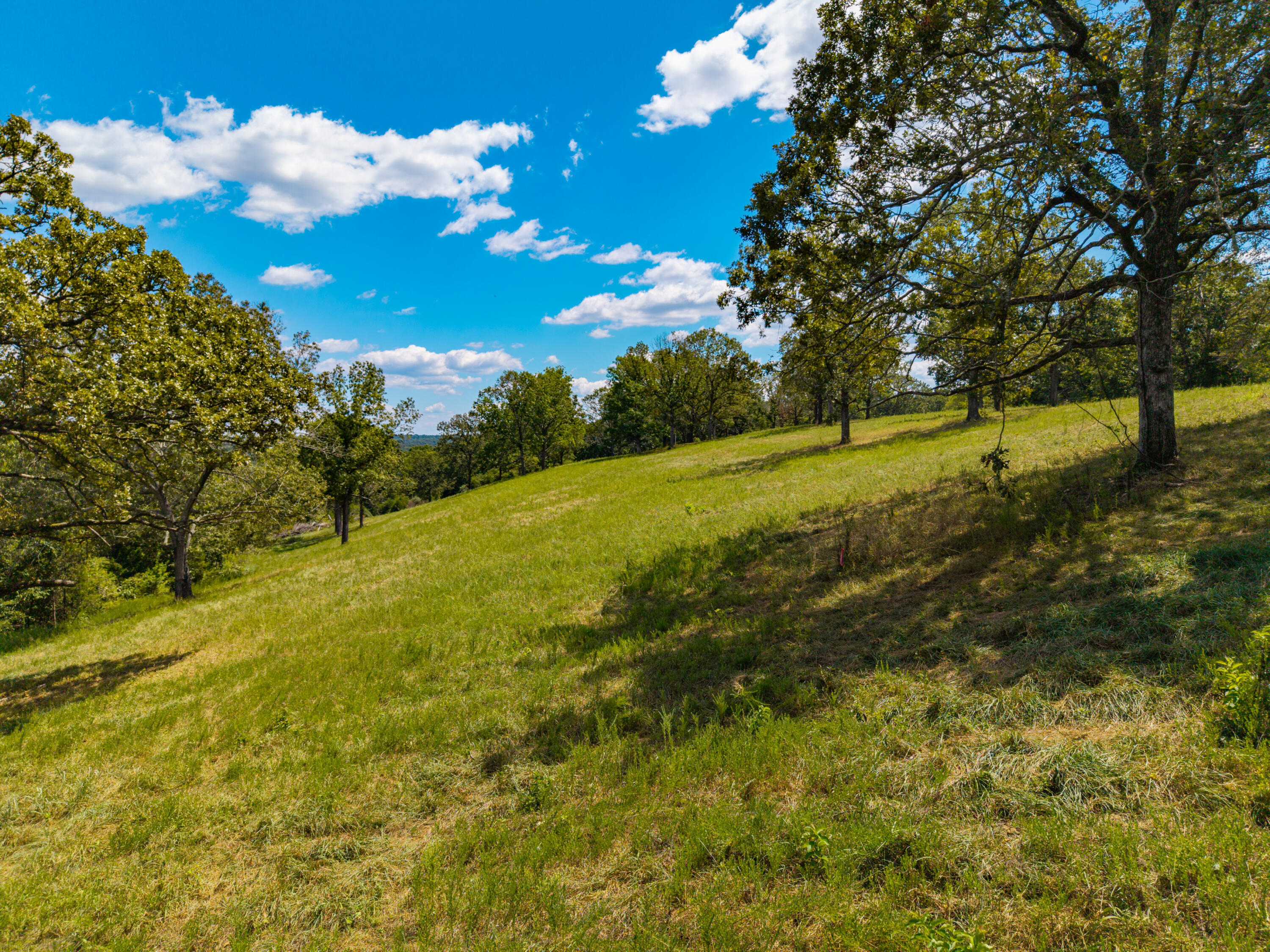 Photo 20 - Land for sale – Lot 7  County Road 635   Theodosia, MO