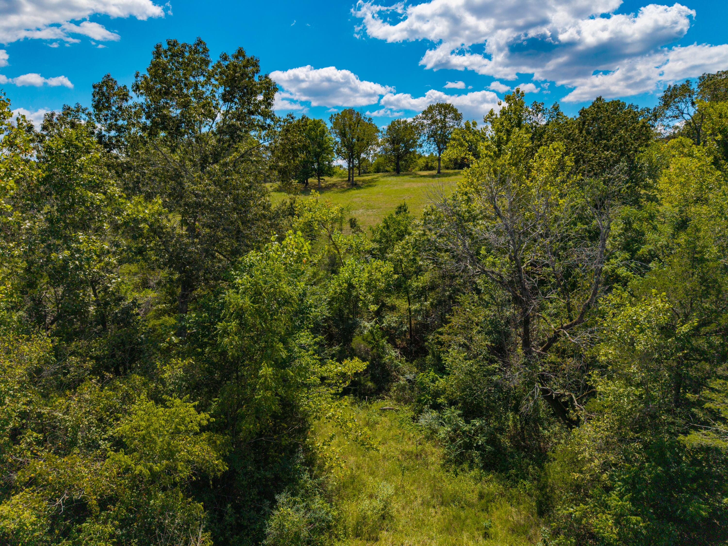 Photo 24 - Land for sale – Lot 7  County Road 635   Theodosia, MO