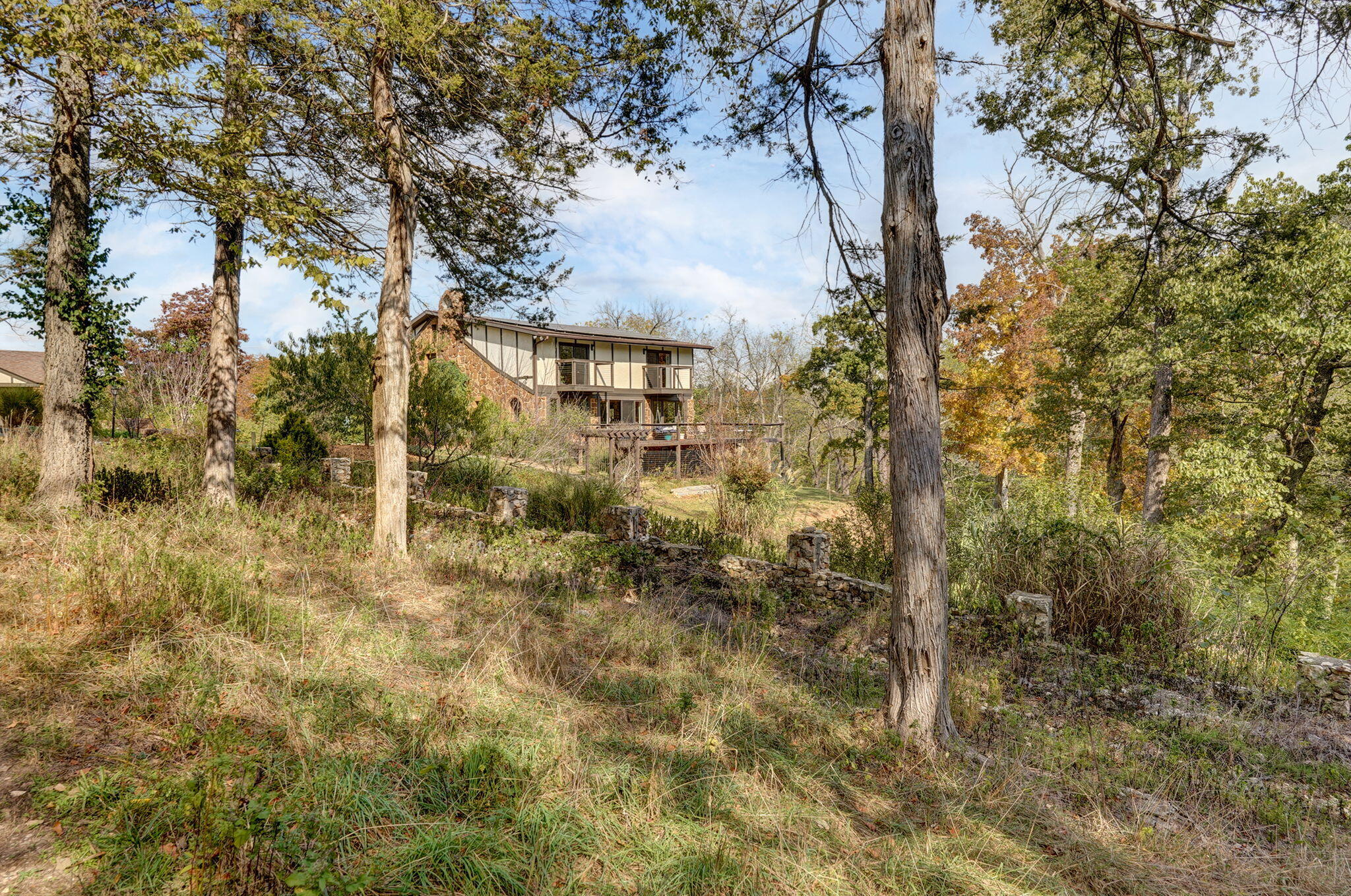 Photo 79 - Residential for sale – 1100 E Robertson Street  Ozark, MO