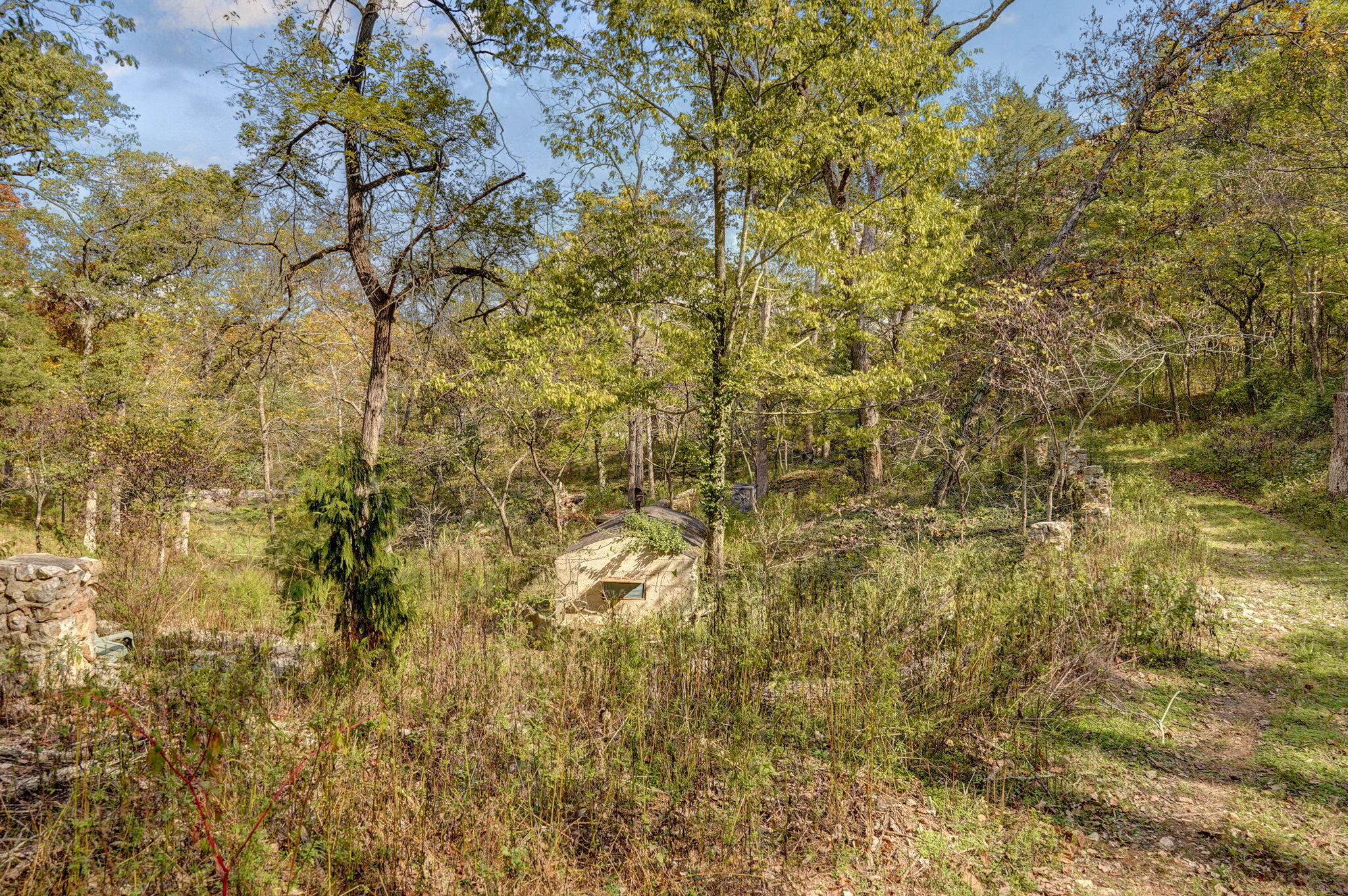 Photo 80 - Residential for sale – 1100 E Robertson Street  Ozark, MO