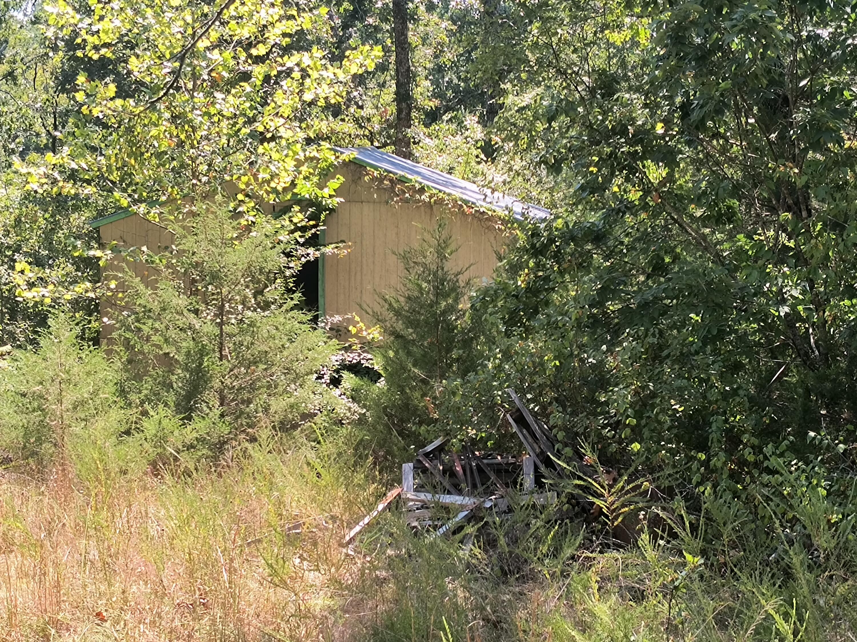 Photo 6 - Land for sale – 000  California Lane   Theodosia, MO