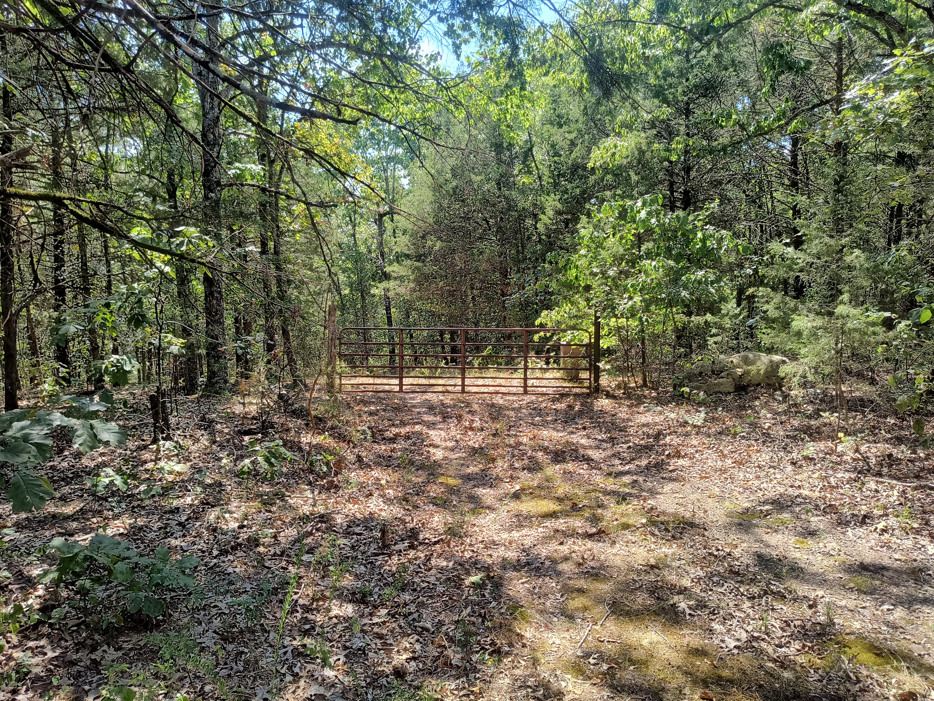 Listing 592882