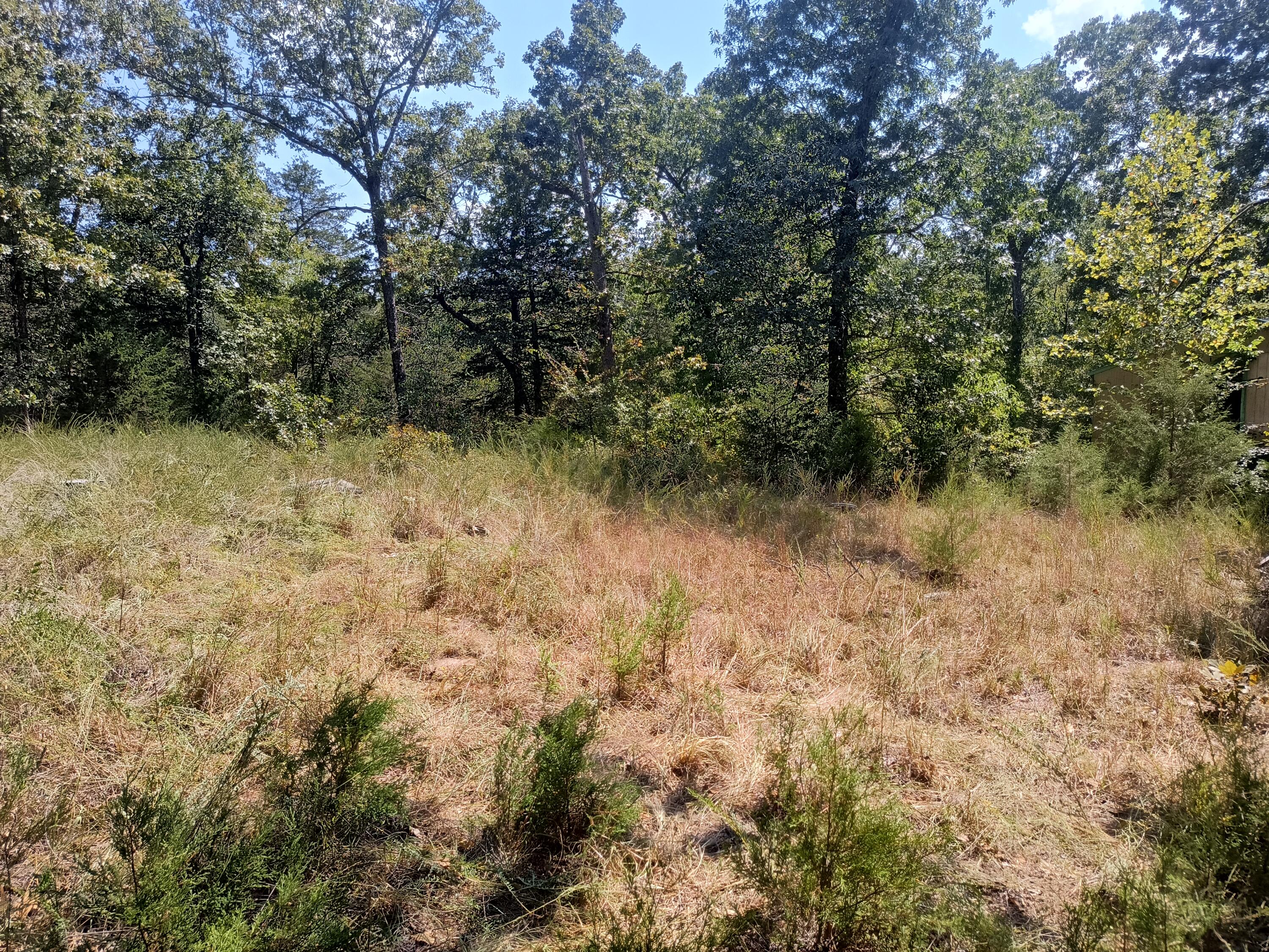 Photo 2 - Land for sale – 000  California Lane   Theodosia, MO