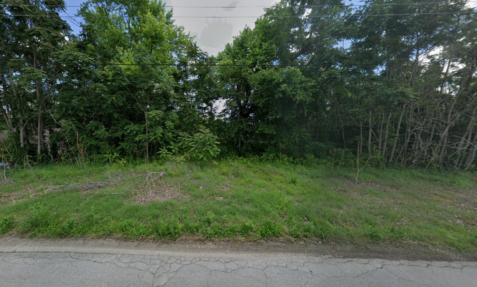 Photo 2 - Land for sale – 245 S Elm Street  Granby, MO
