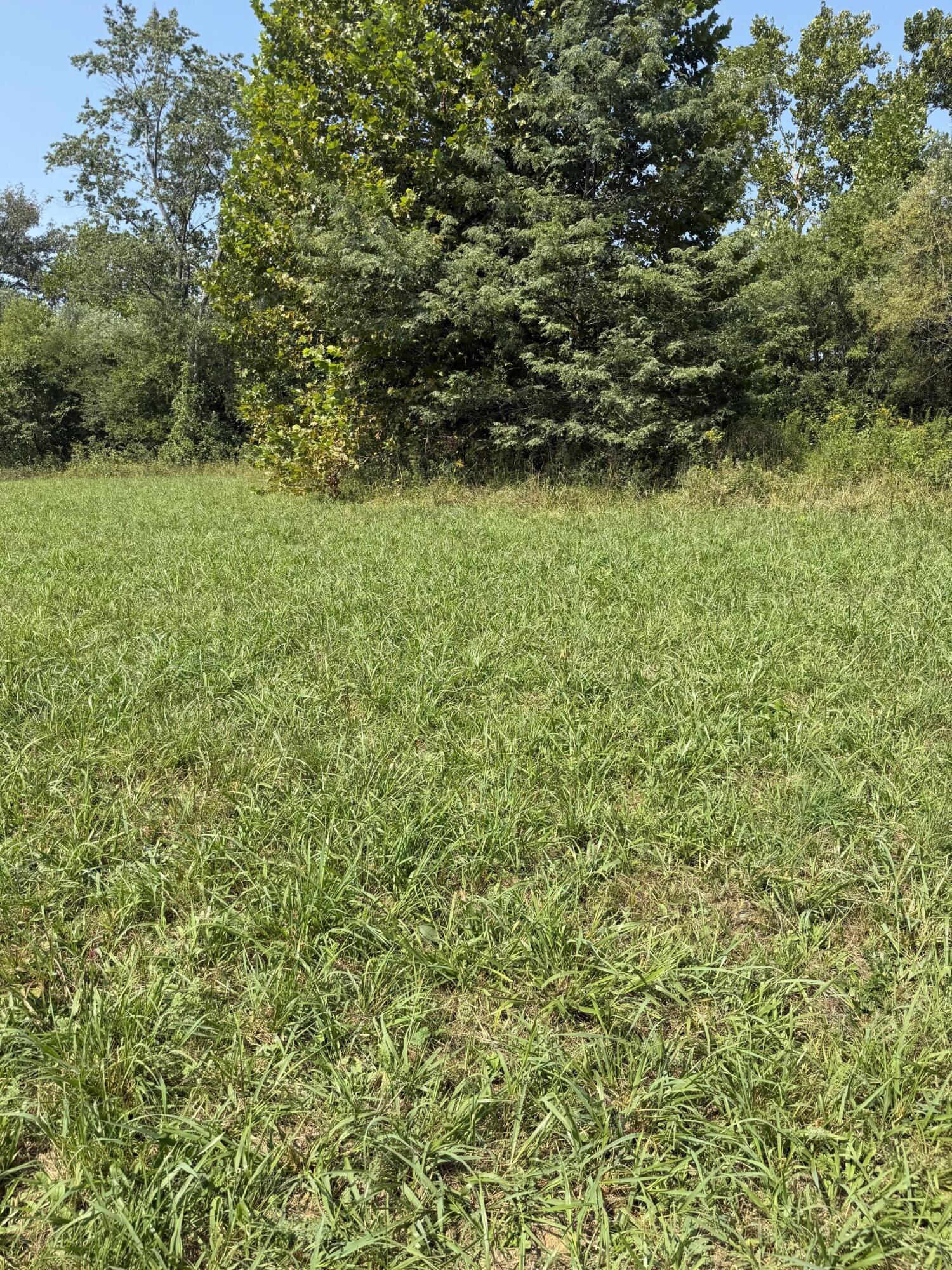 Photo 7 - Farm for sale – 1189  County Road 428   Redford, MO