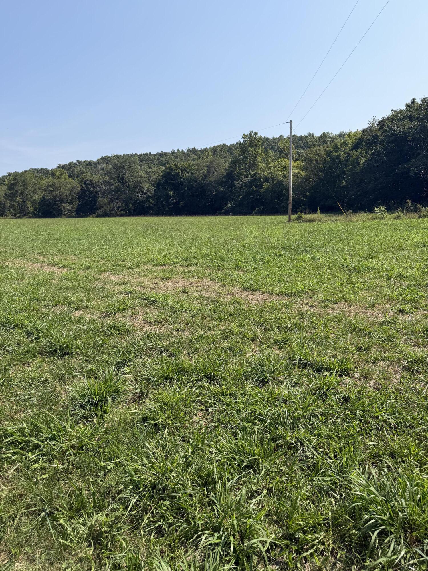 Photo 10 - Farm for sale – 1189  County Road 428   Redford, MO