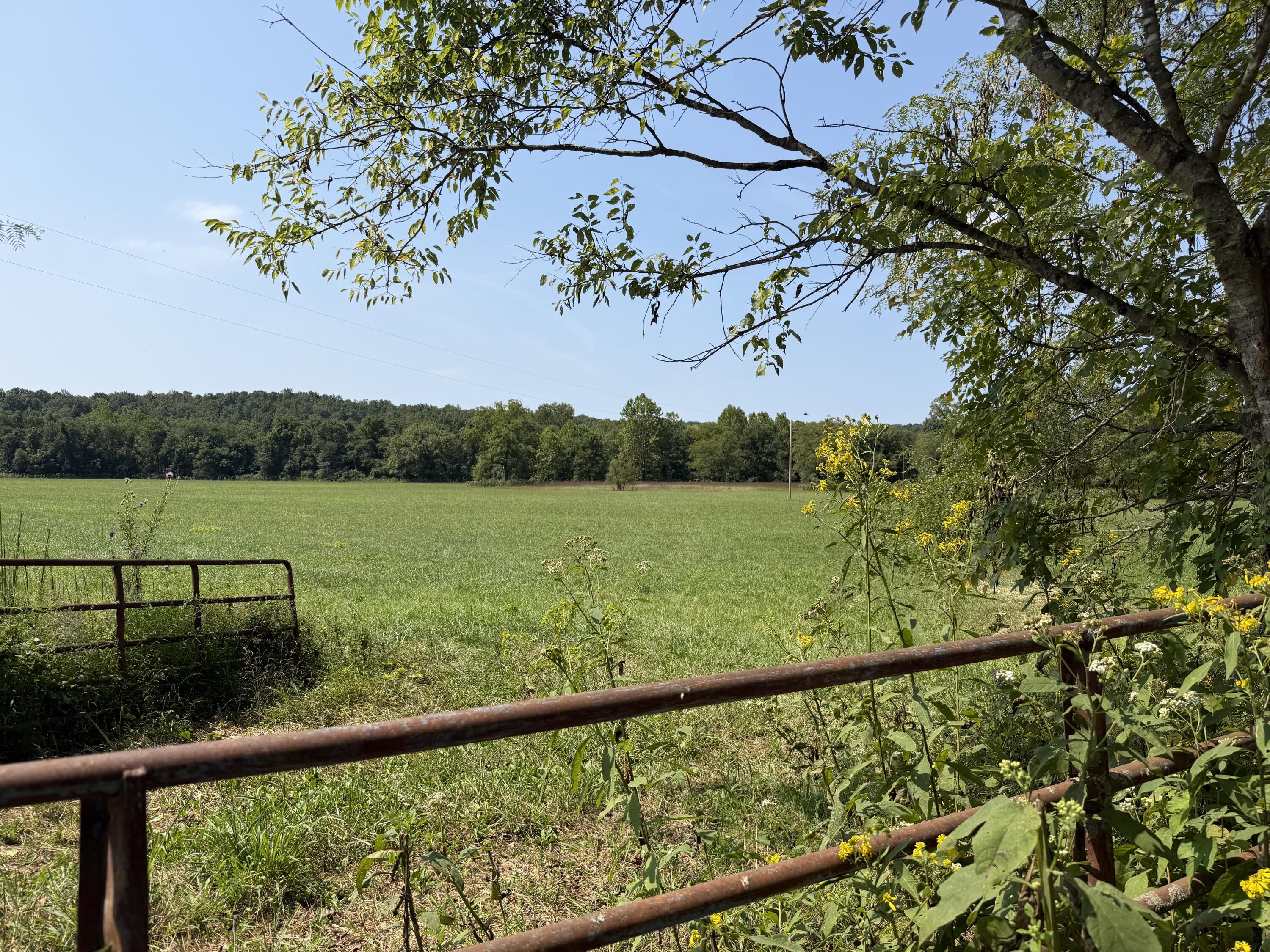 Farm for sale – 1189 County Road 428 Redford, MO