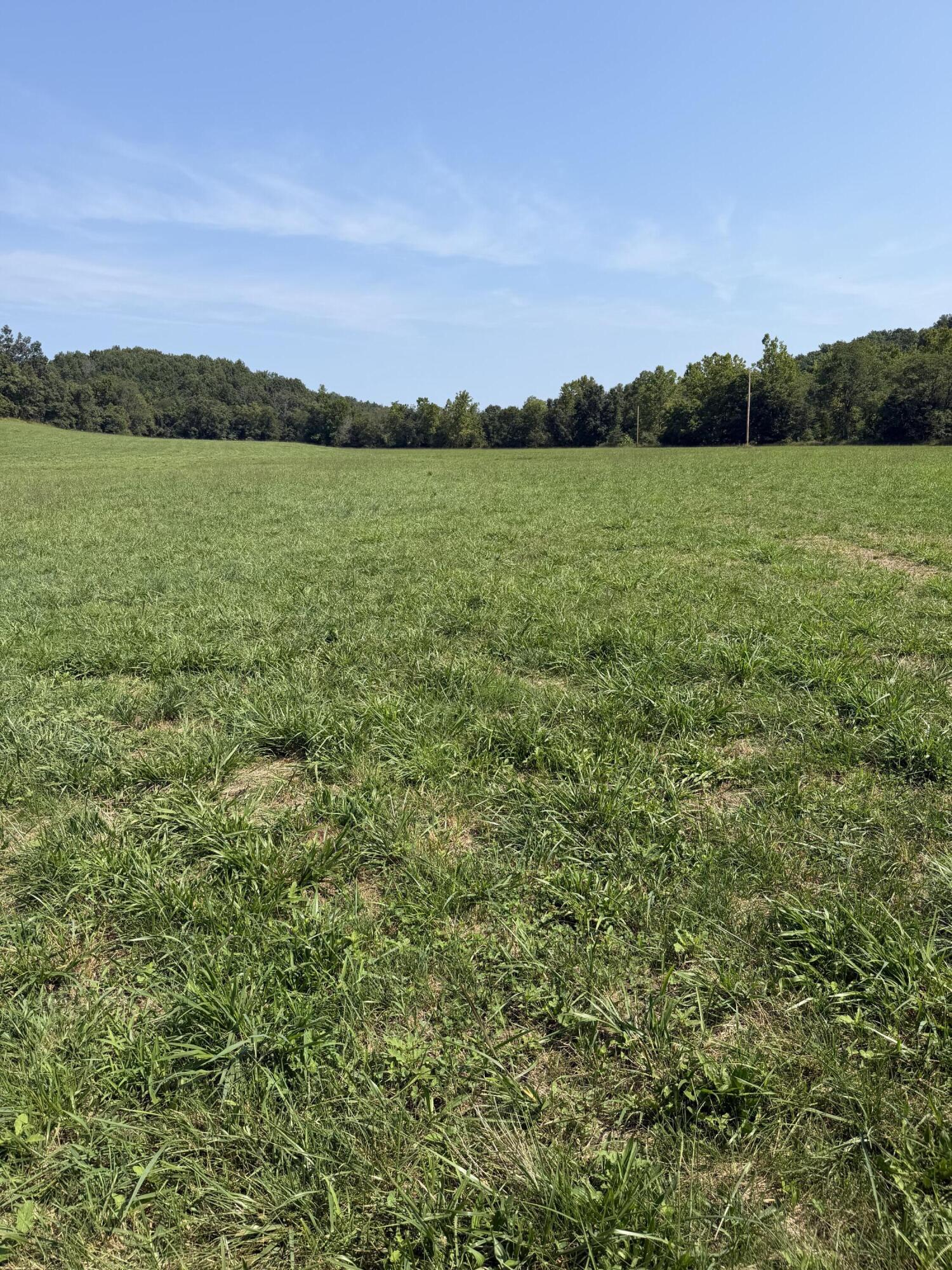 Photo 9 - Farm for sale – 1189  County Road 428   Redford, MO