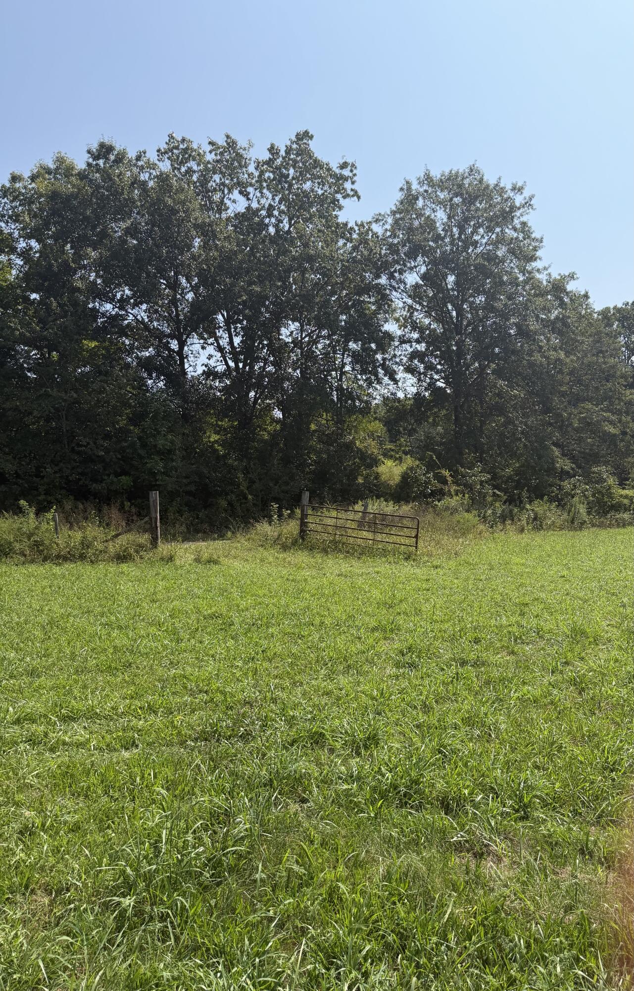 Photo 15 - Farm for sale – 1189  County Road 428   Redford, MO