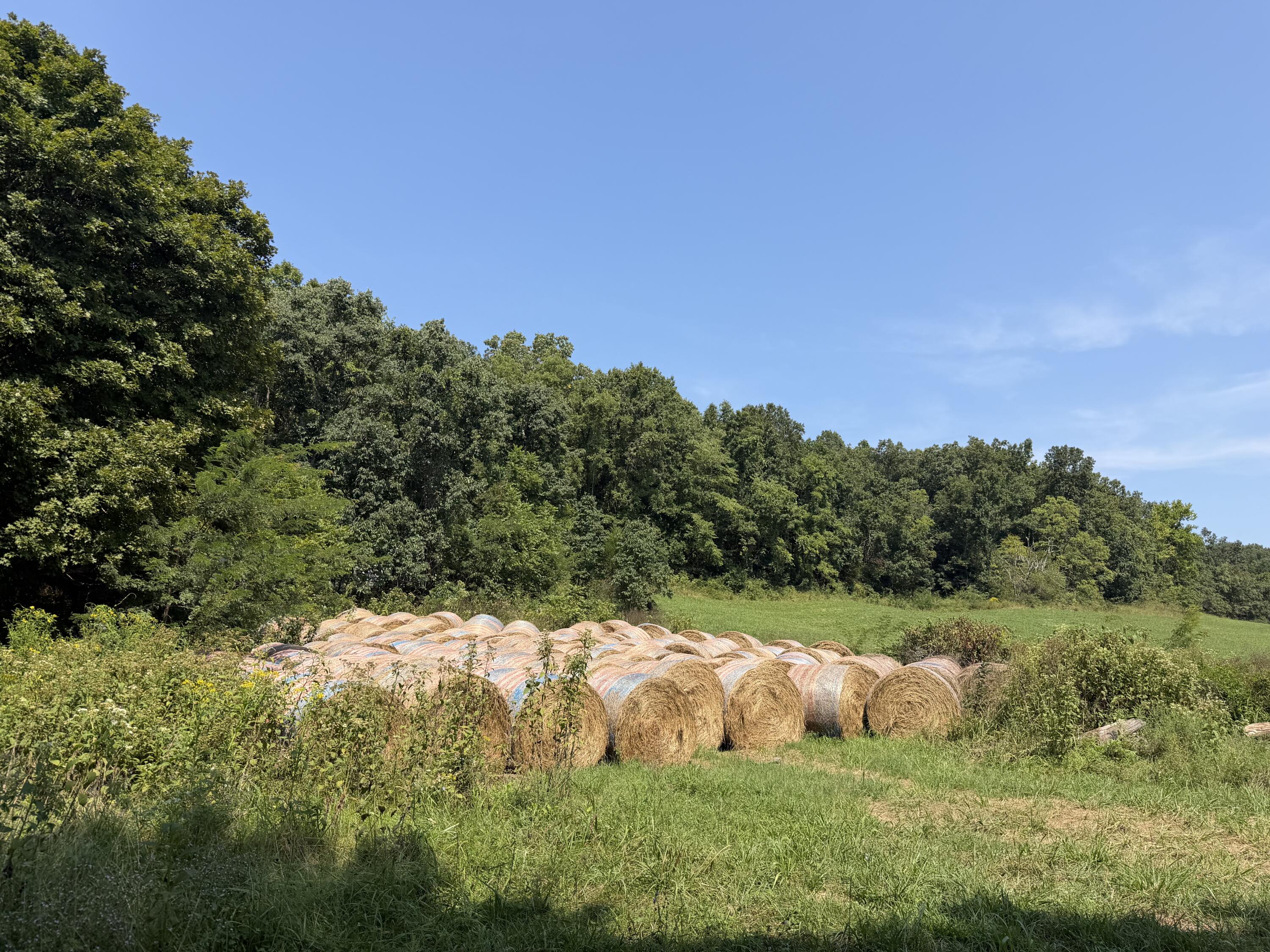 Photo 16 - Farm for sale – 1189  County Road 428   Redford, MO