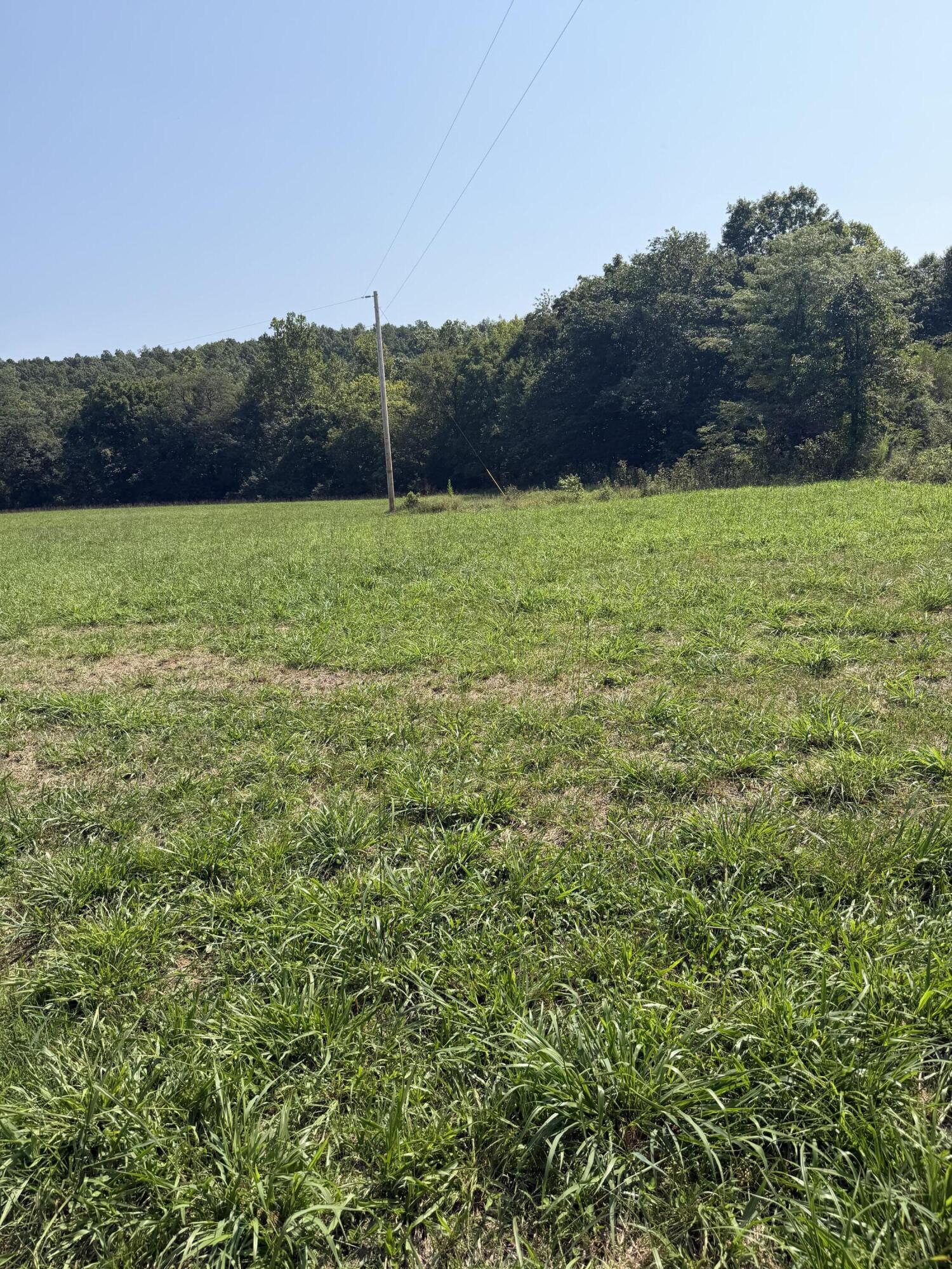 Photo 6 - Farm for sale – 1189  County Road 428   Redford, MO