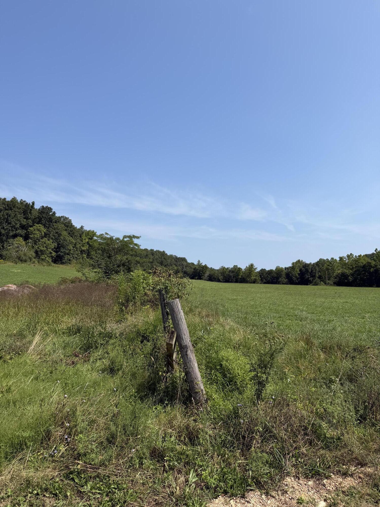 Photo 17 - Farm for sale – 1189  County Road 428   Redford, MO