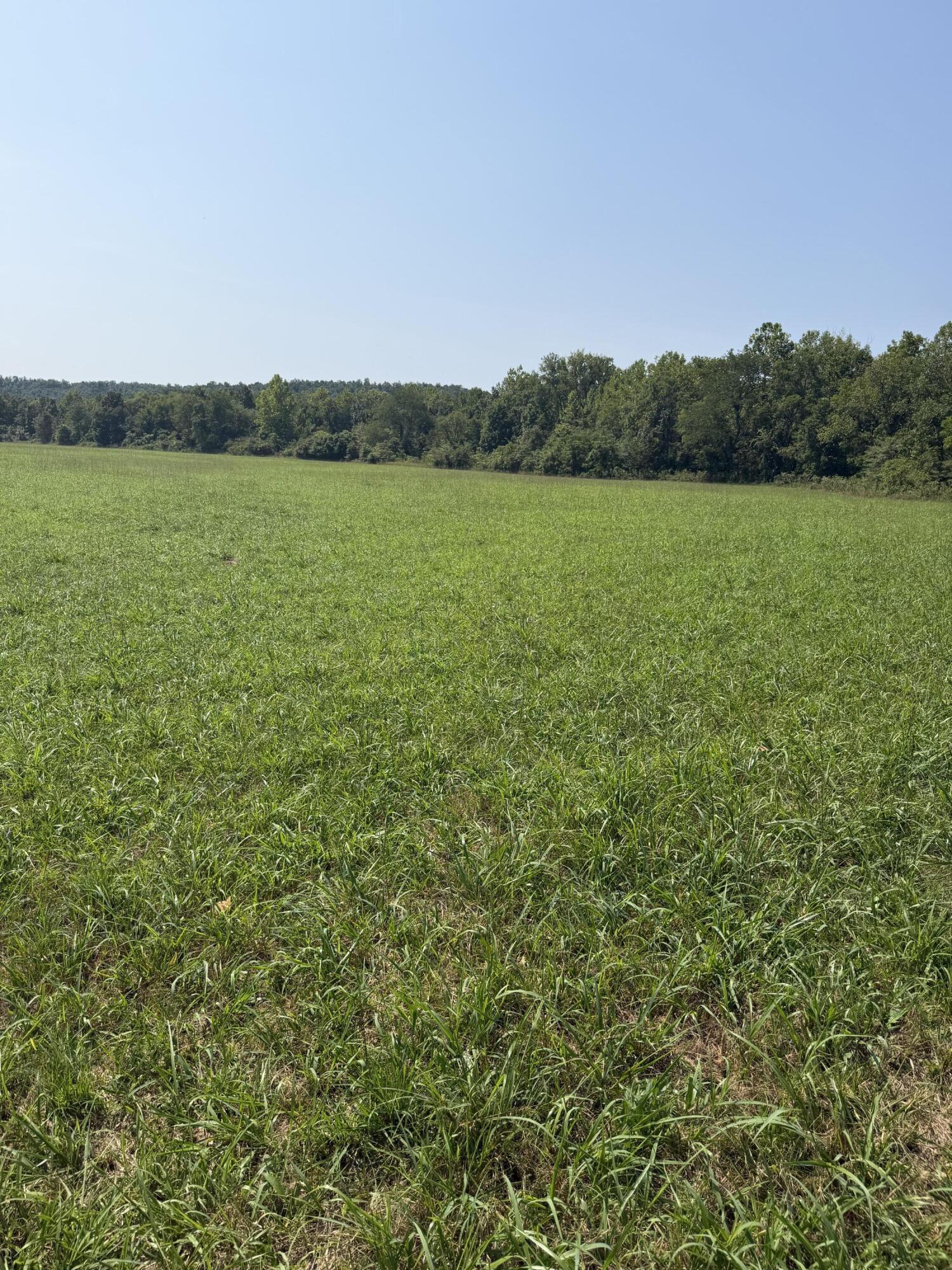 Photo 13 - Farm for sale – 1189  County Road 428   Redford, MO