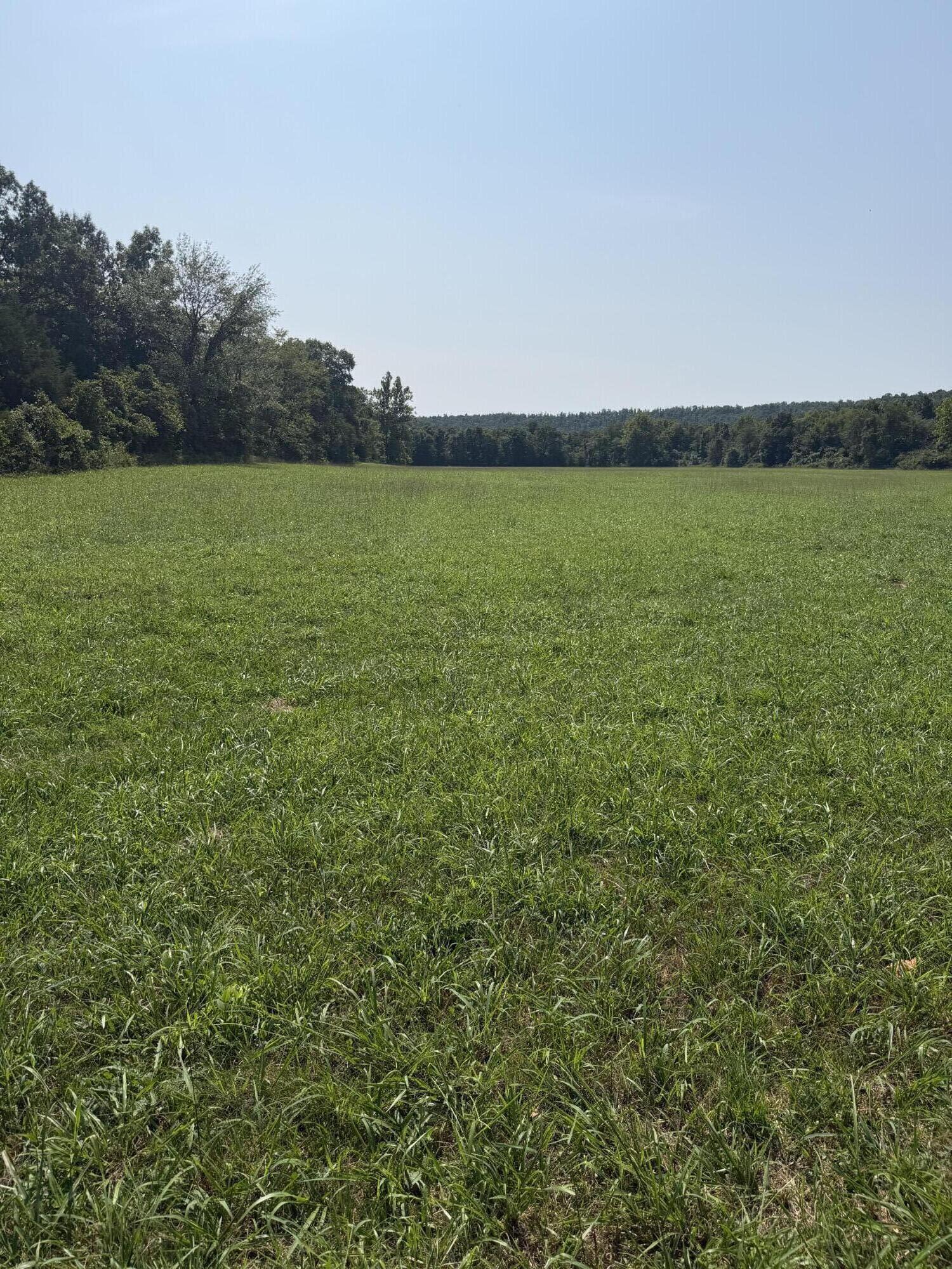 Photo 2 - Farm for sale – 1189  County Road 428   Redford, MO