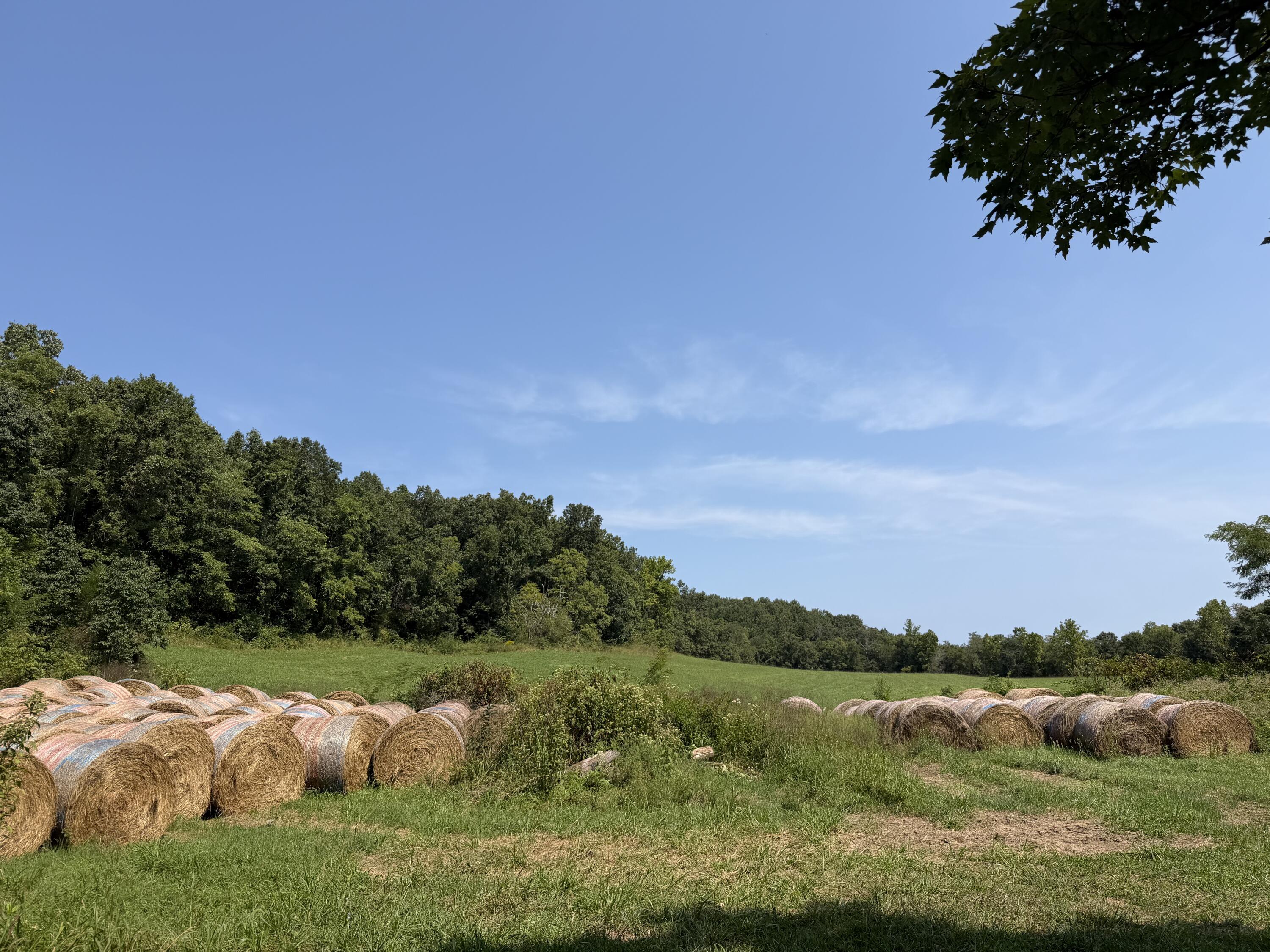 Photo 18 - Farm for sale – 1189  County Road 428   Redford, MO