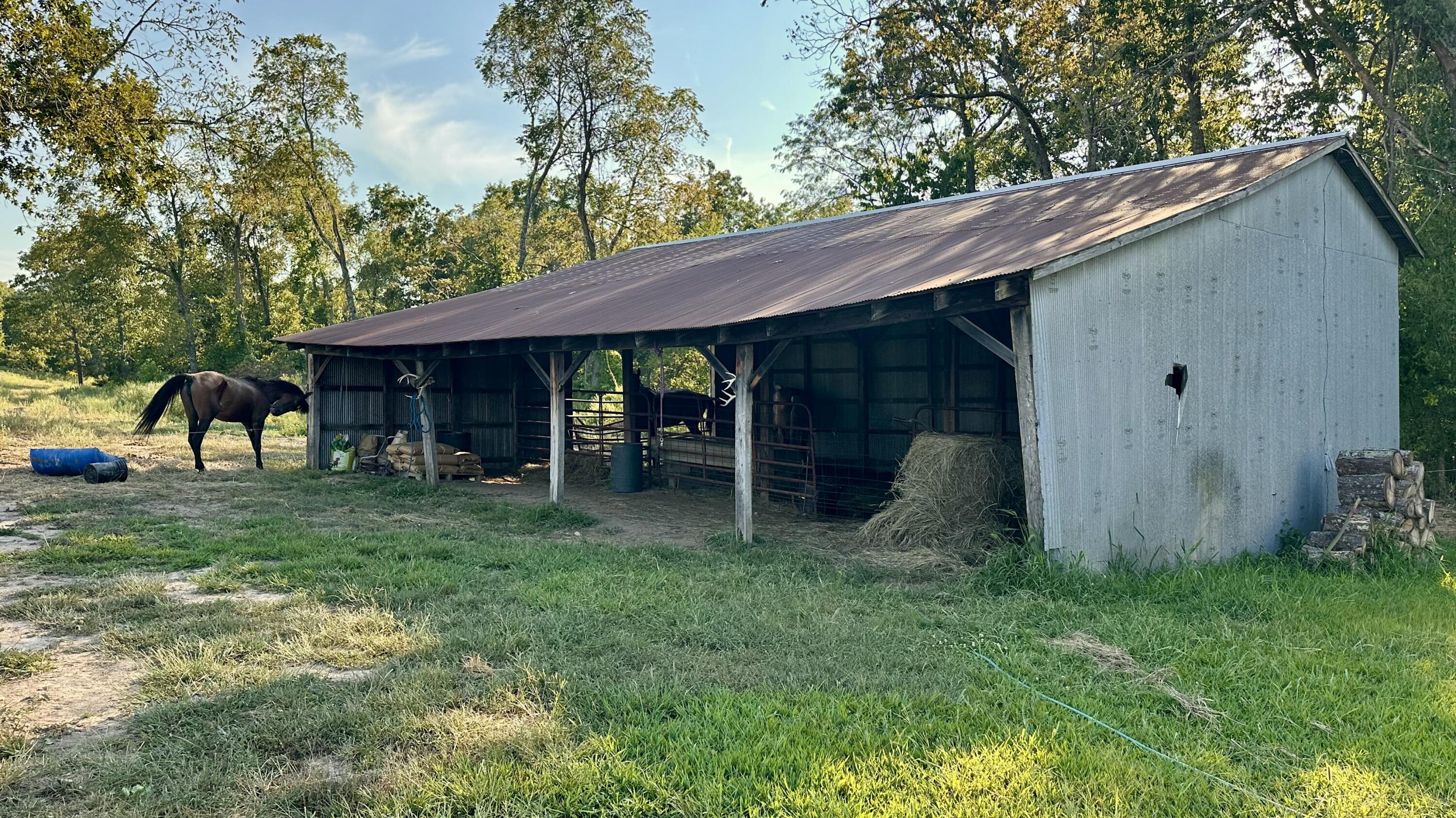 Photo 4 - Farm for sale – 8301  Creek Road  Hartville, MO