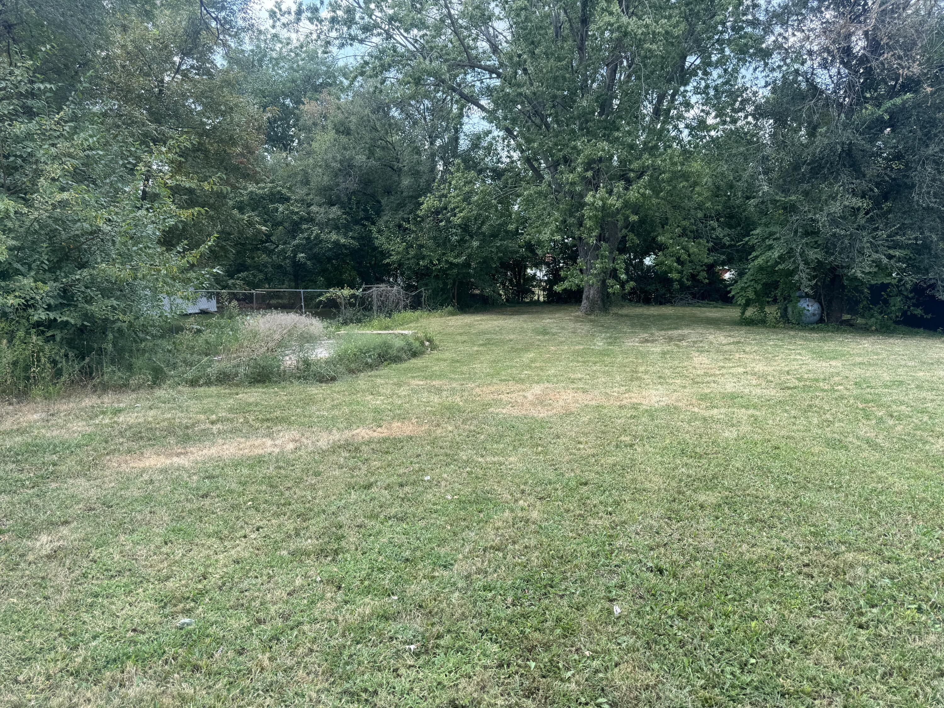 Photo 2 - Land for sale – 417 S Spruce   Buffalo, MO