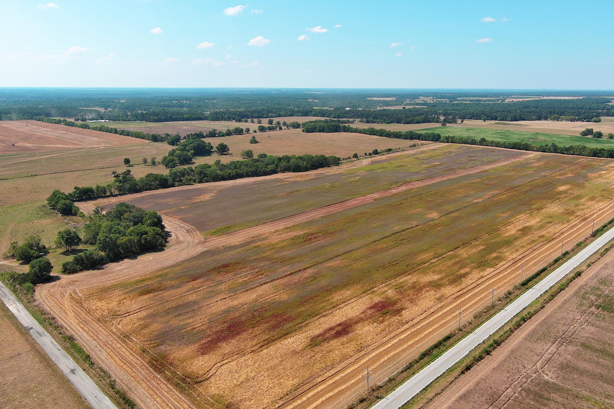 Photo 11 - Farm for sale – 4523  Walleye Road  Wentworth, MO