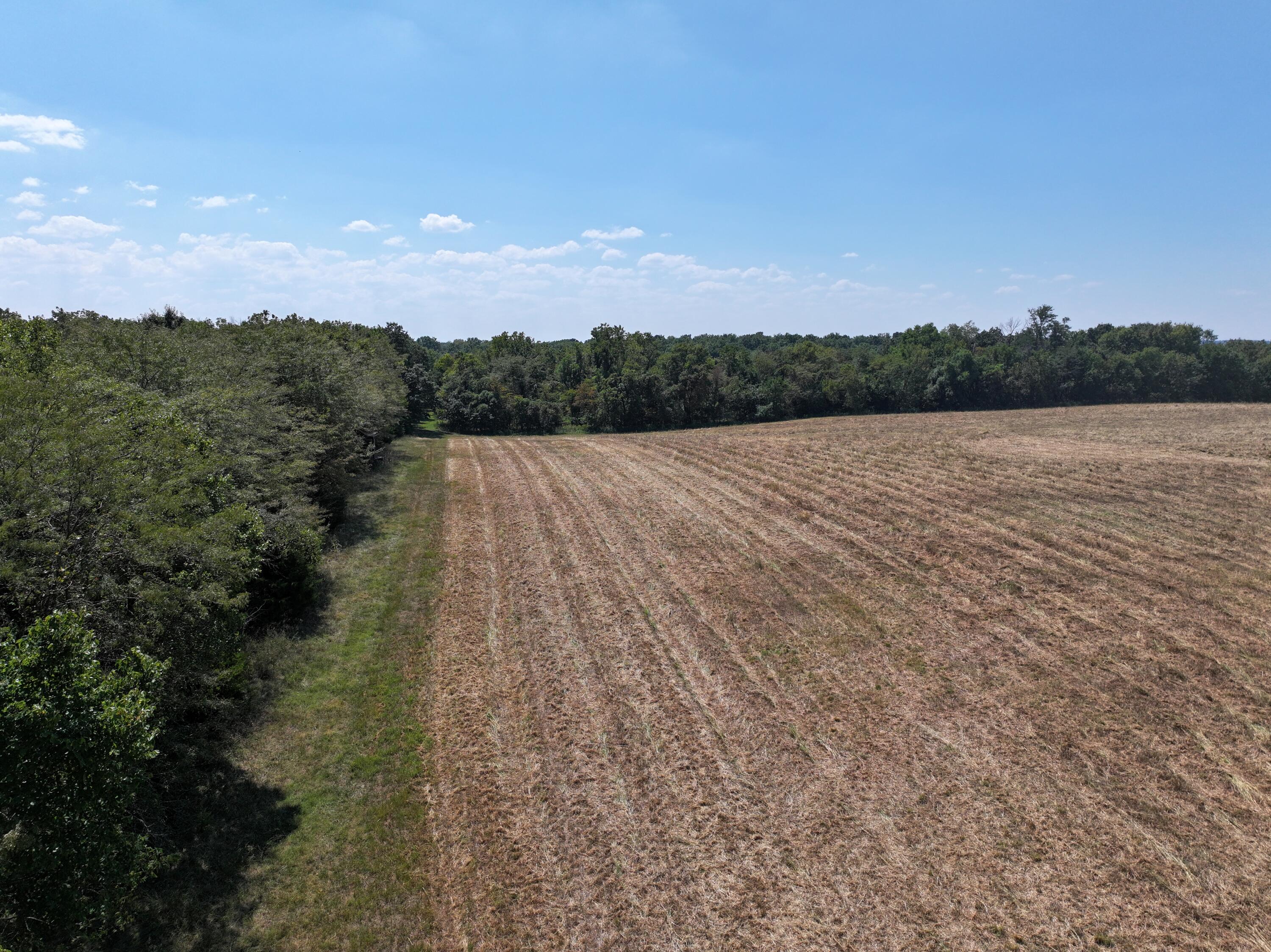 Photo 15 - Land for sale – 000-B S 140th Road  Morrisville, MO
