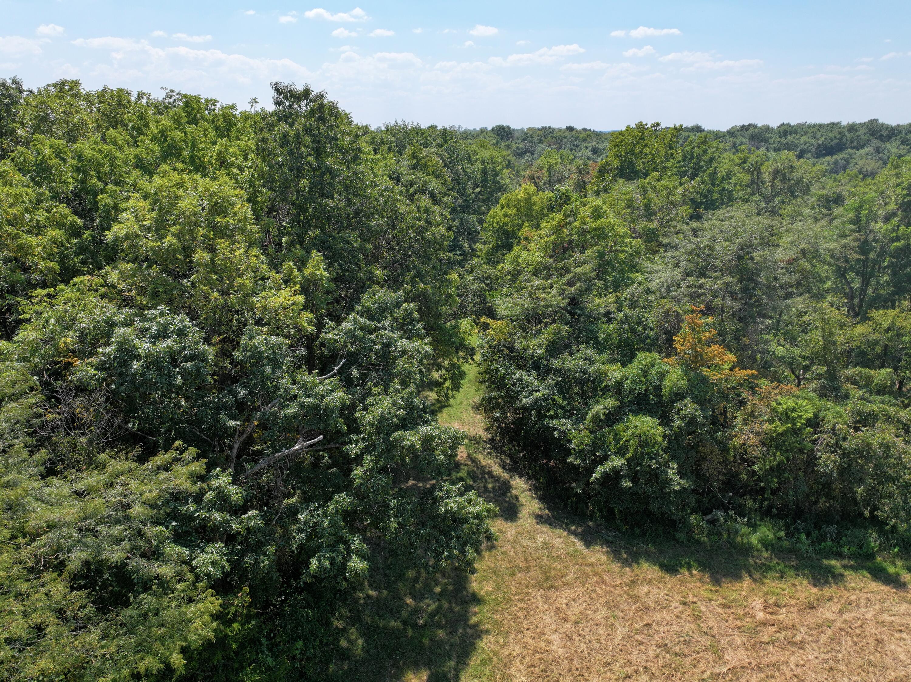 Photo 16 - Land for sale – 000-B S 140th Road  Morrisville, MO