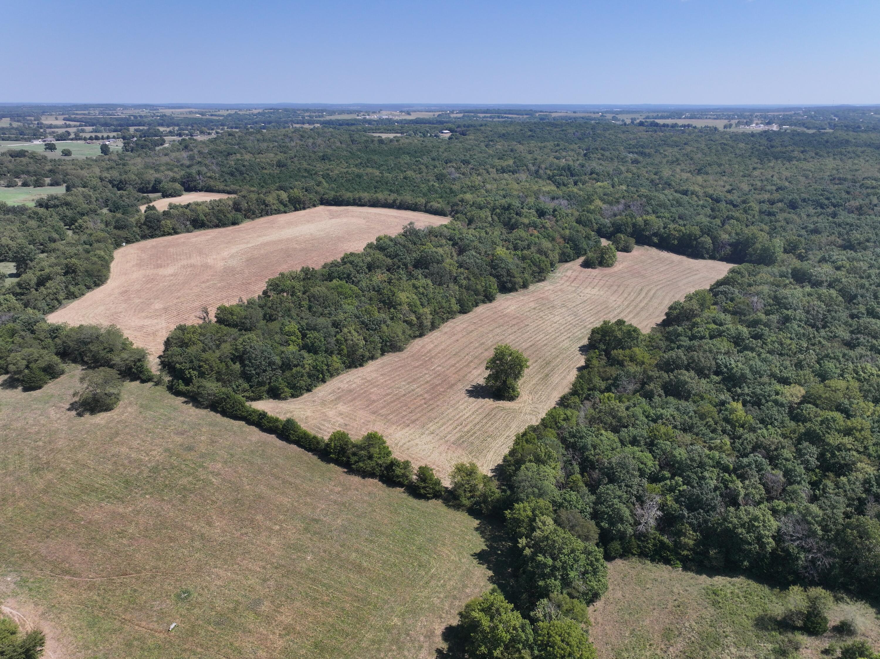 Photo 5 - Land for sale – 000-B S 140th Road  Morrisville, MO