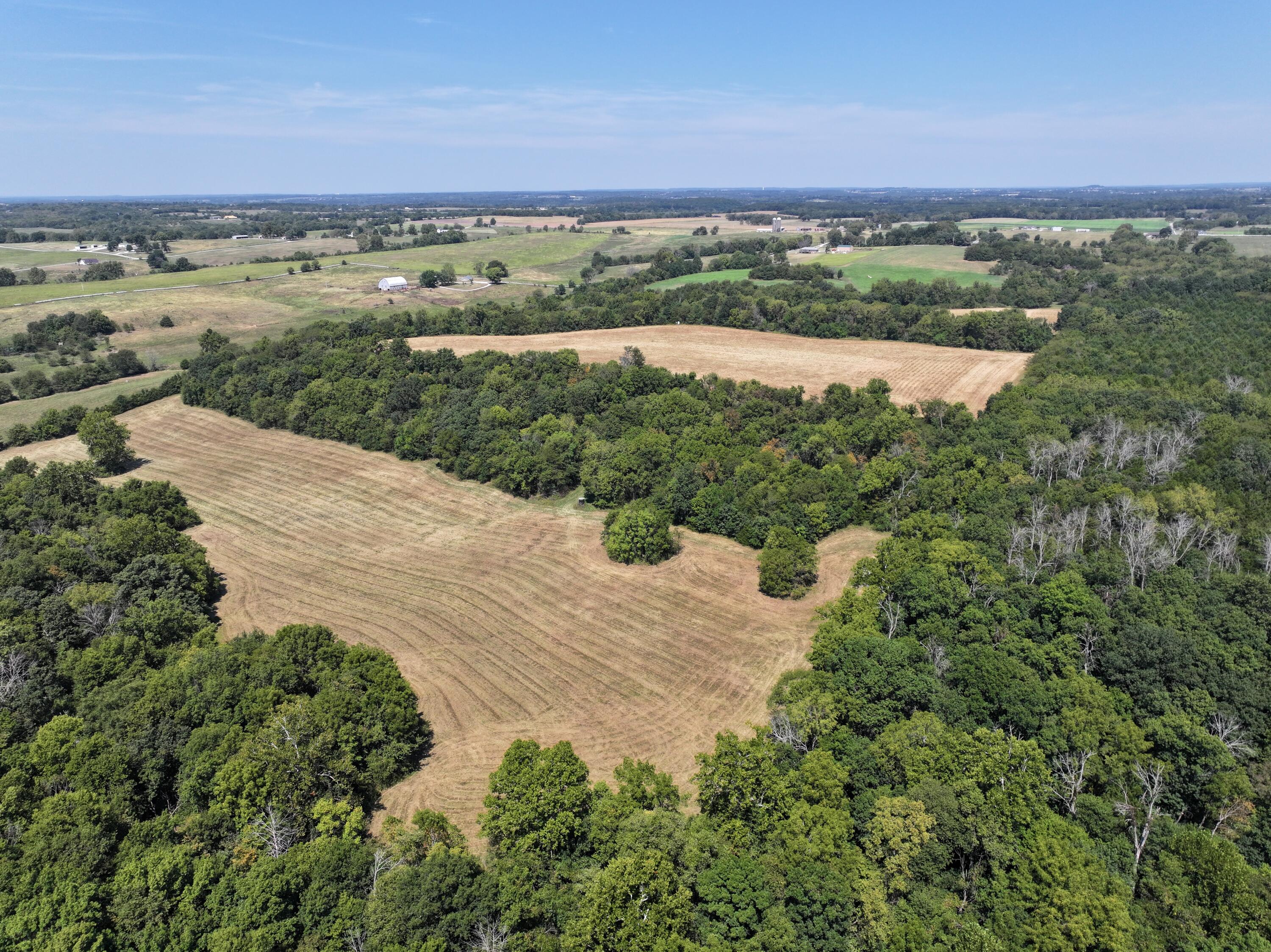 Photo 3 - Land for sale – 000-B S 140th Road  Morrisville, MO