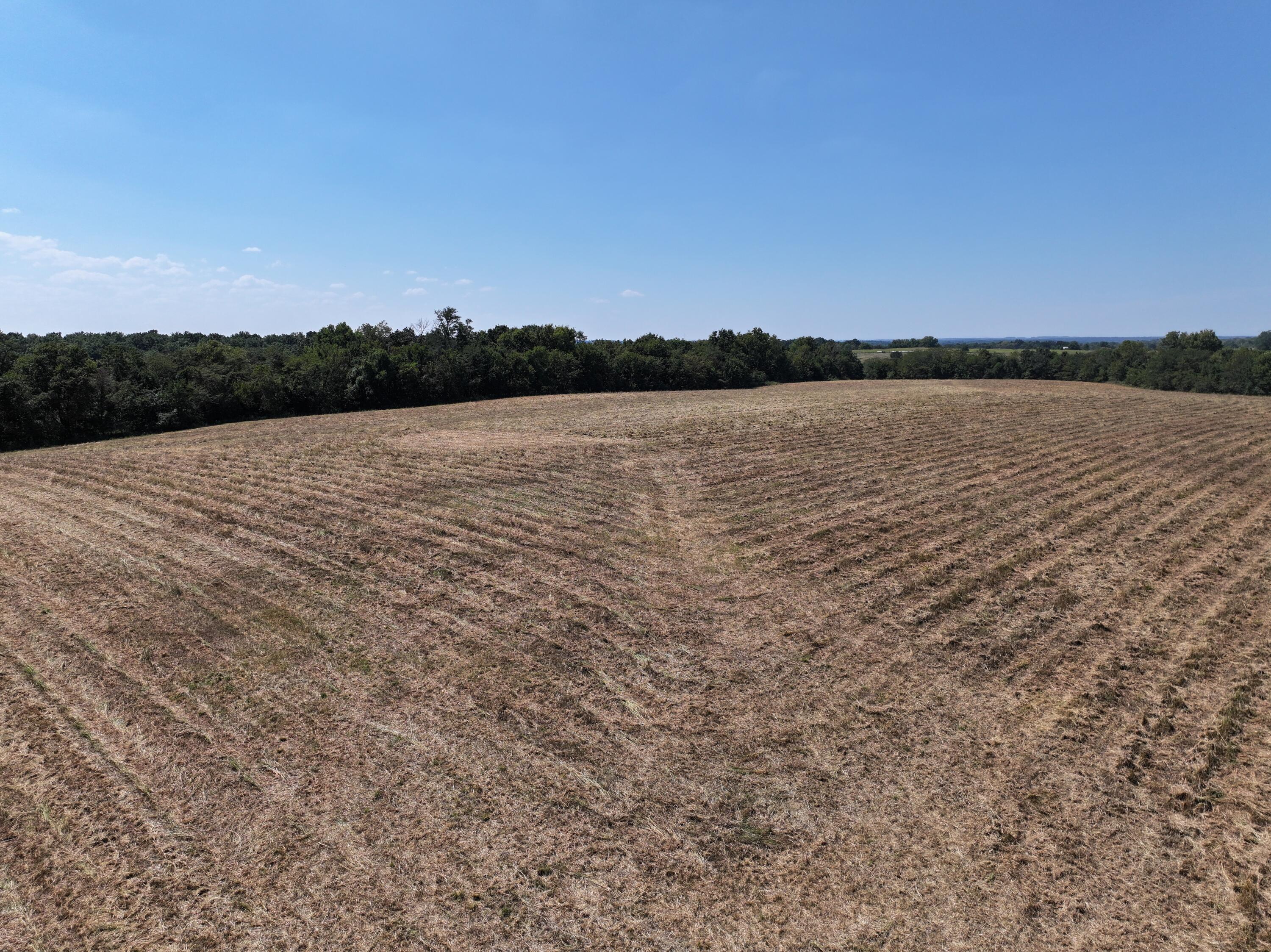 Photo 14 - Land for sale – 000-B S 140th Road  Morrisville, MO
