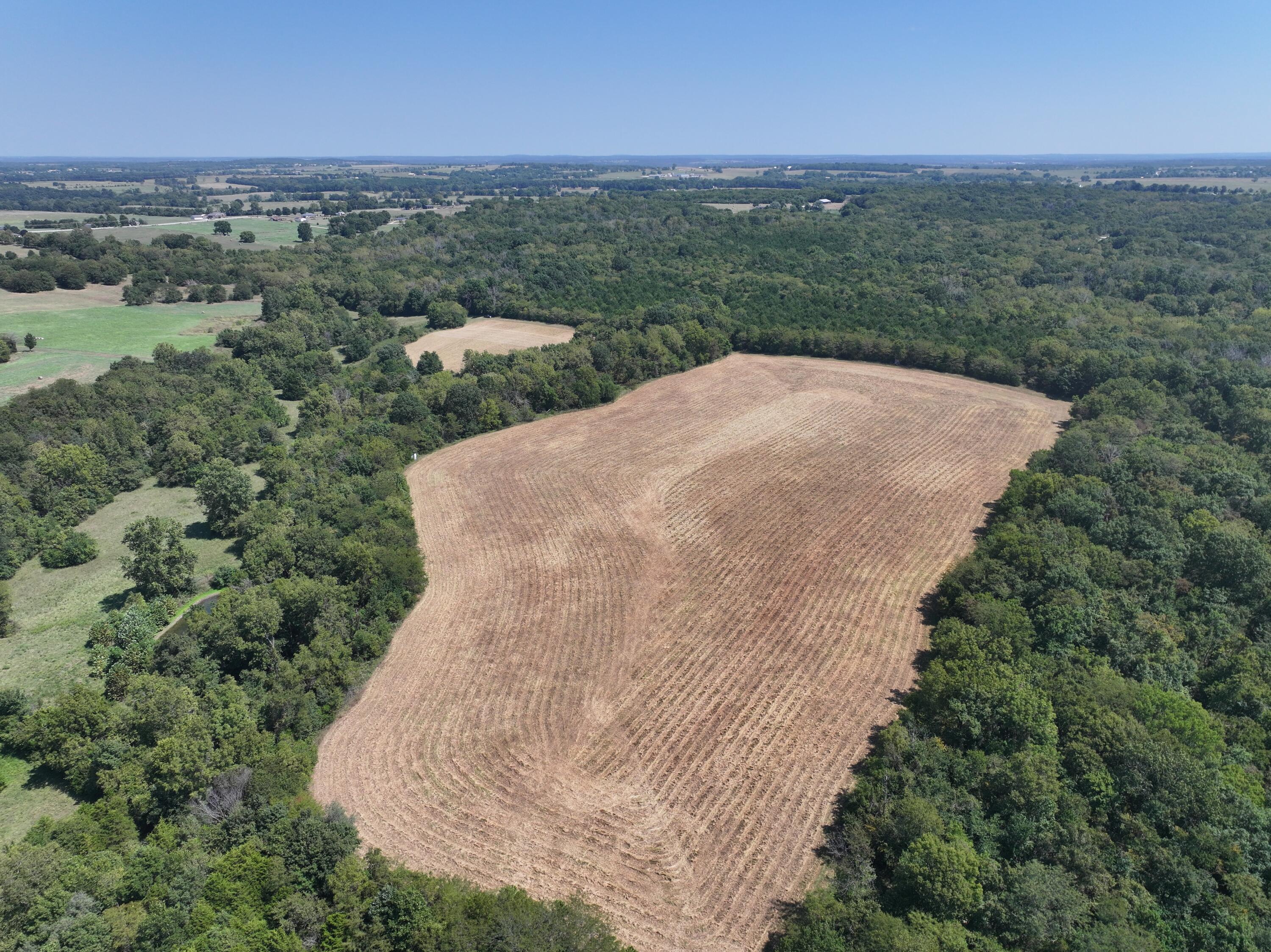 Photo 6 - Land for sale – 000-B S 140th Road  Morrisville, MO