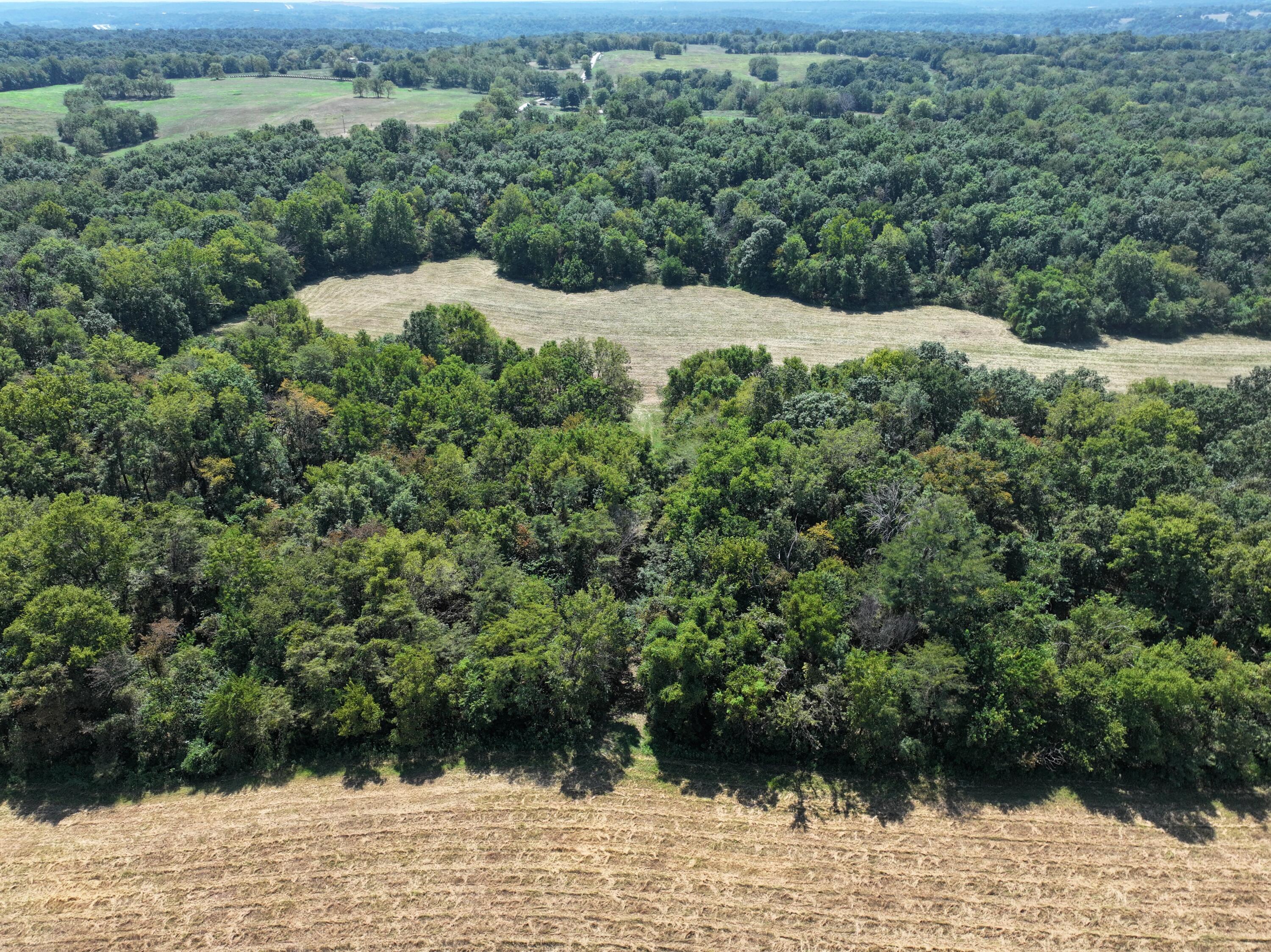 Photo 24 - Land for sale – 000-B S 140th Road  Morrisville, MO
