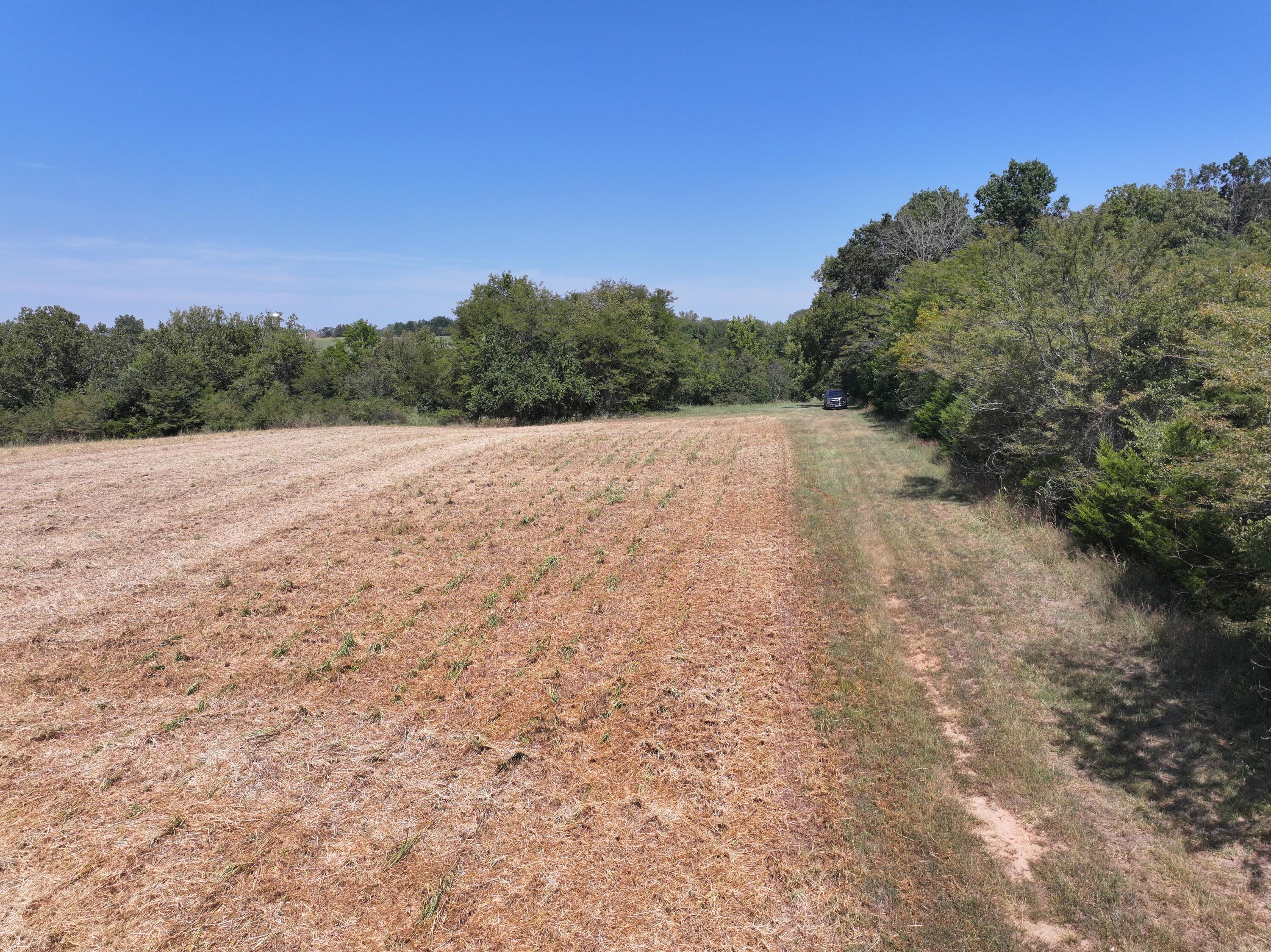 Photo 10 - Land for sale – 000-B S 140th Road  Morrisville, MO