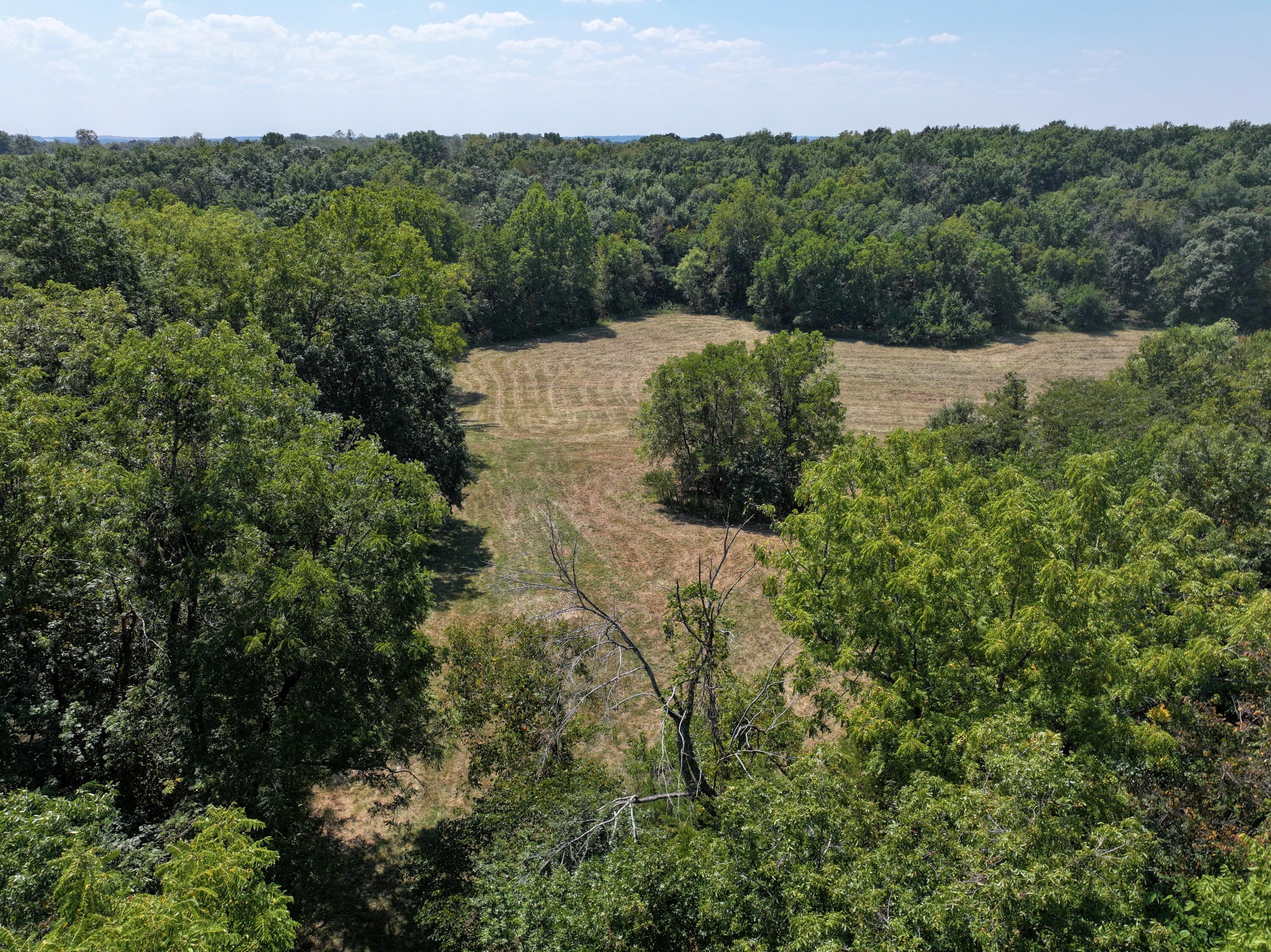 Photo 18 - Land for sale – 000-B S 140th Road  Morrisville, MO