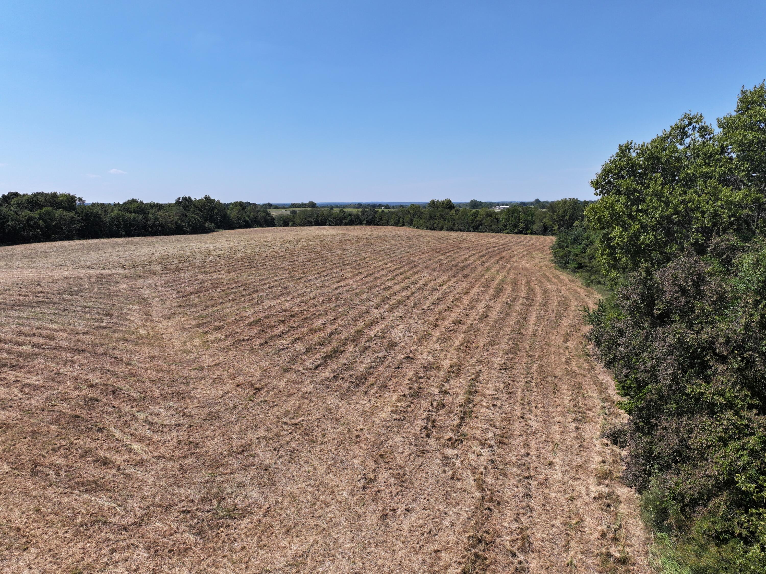 Photo 13 - Land for sale – 000-B S 140th Road  Morrisville, MO