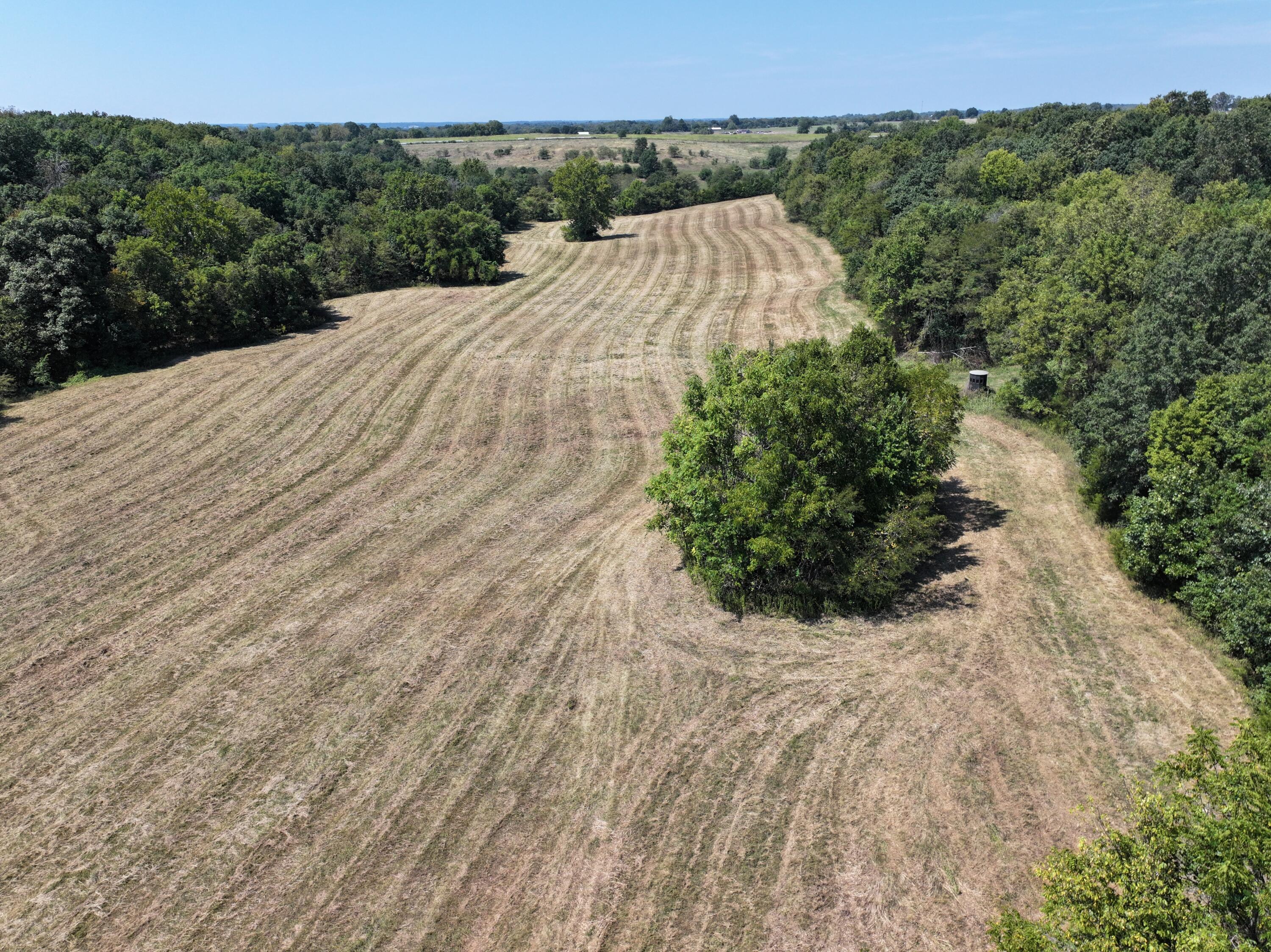 Photo 20 - Land for sale – 000-B S 140th Road  Morrisville, MO