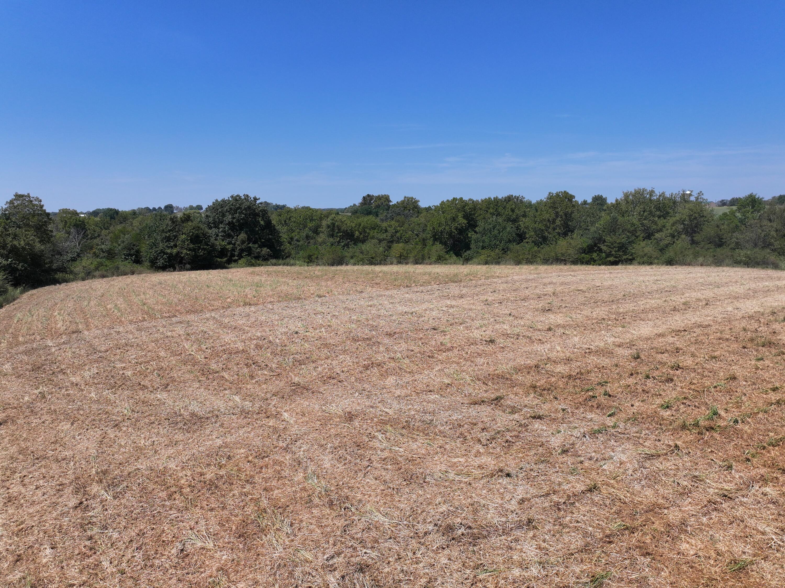 Photo 11 - Land for sale – 000-B S 140th Road  Morrisville, MO