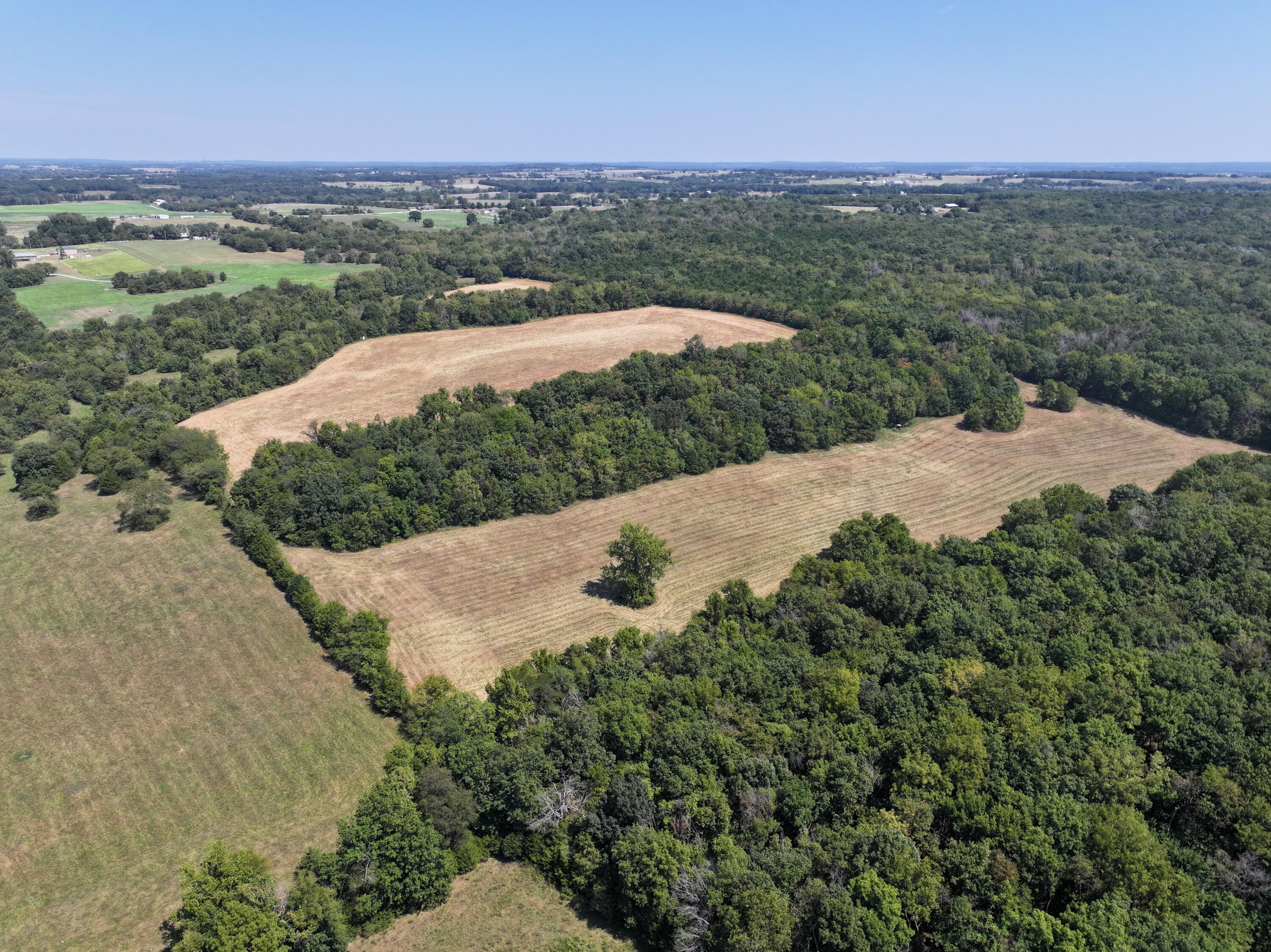 Photo 4 - Land for sale – 000-B S 140th Road  Morrisville, MO
