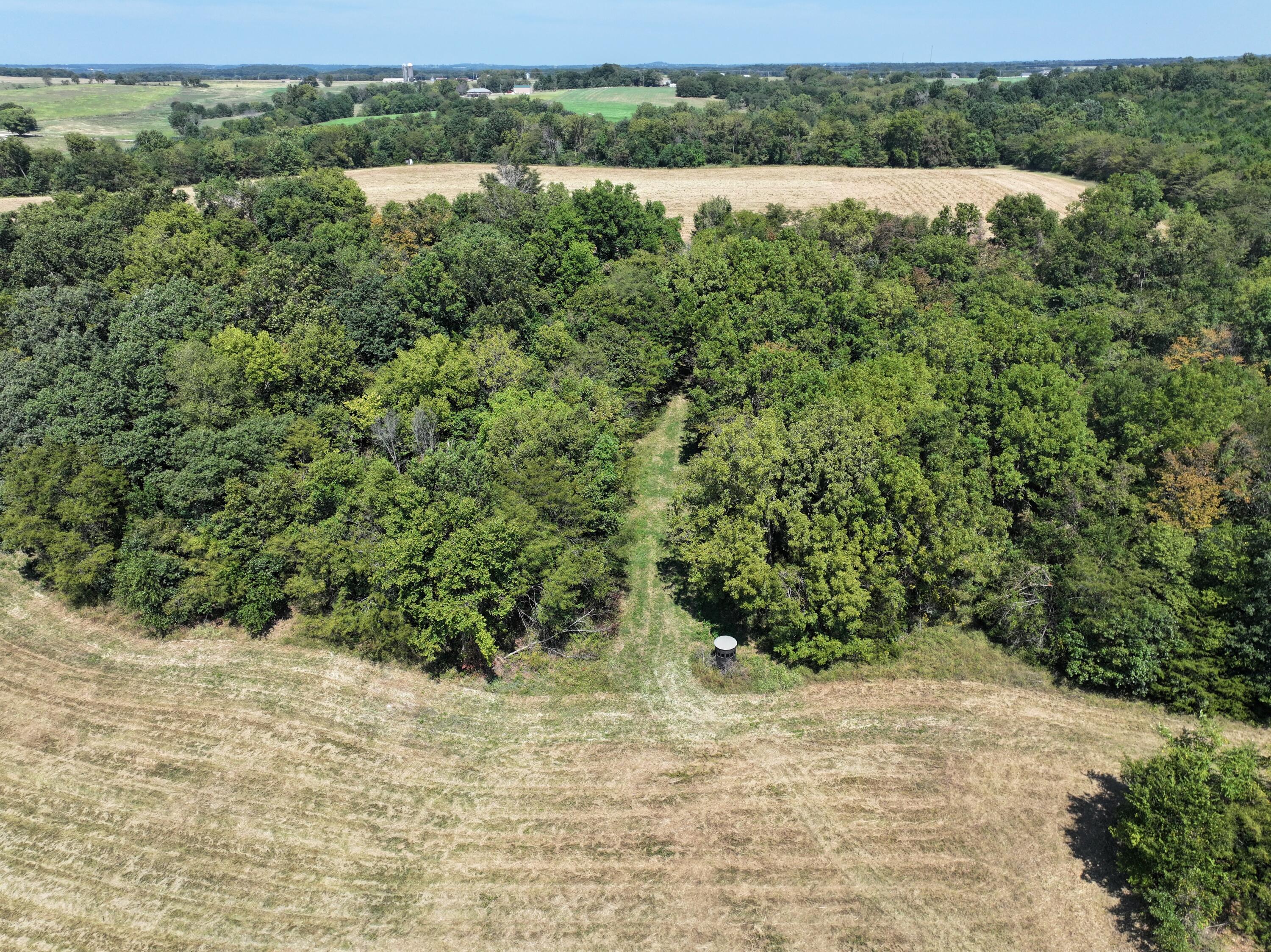 Photo 22 - Land for sale – 000-B S 140th Road  Morrisville, MO