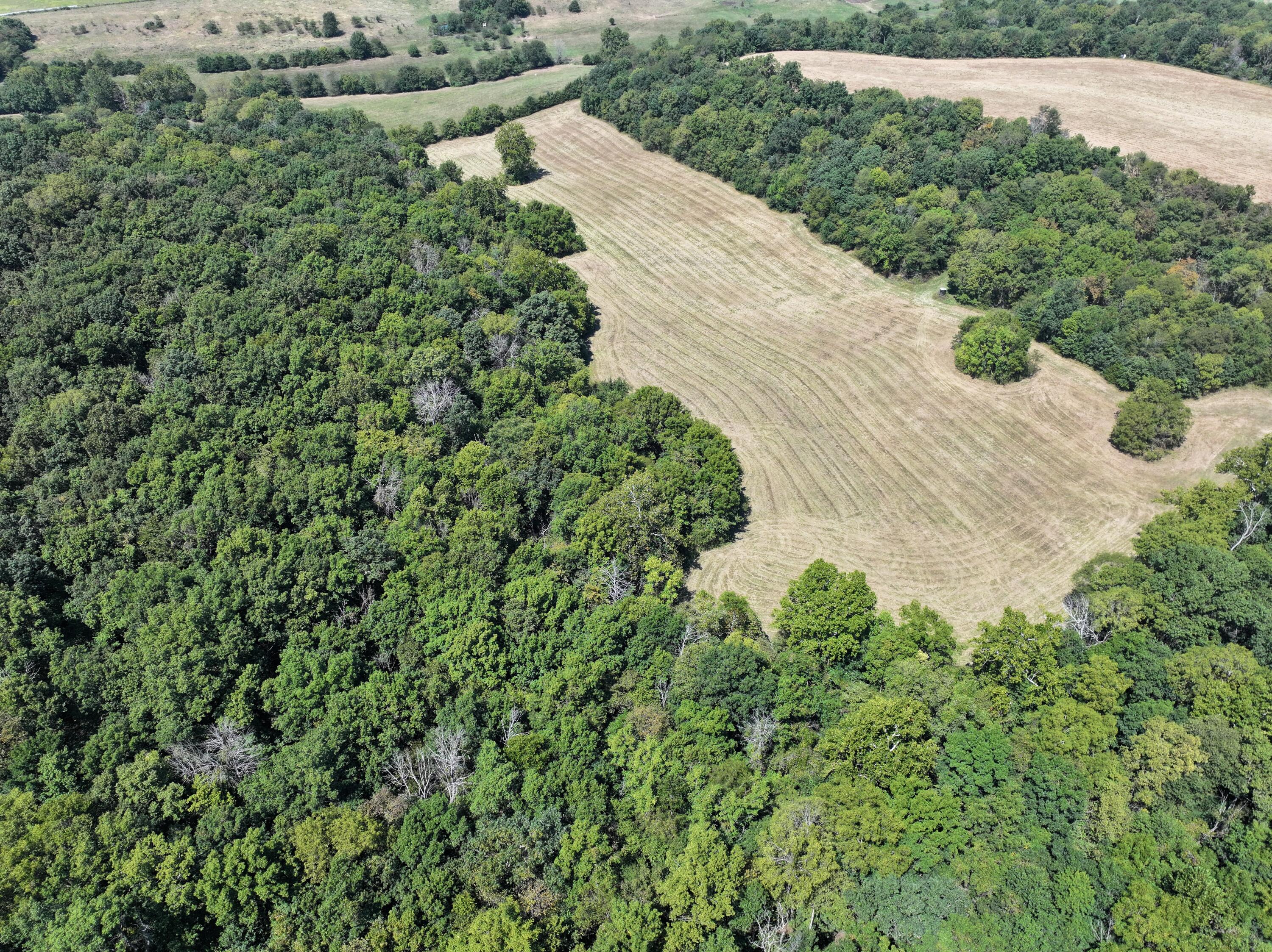 Photo 19 - Land for sale – 000-B S 140th Road  Morrisville, MO