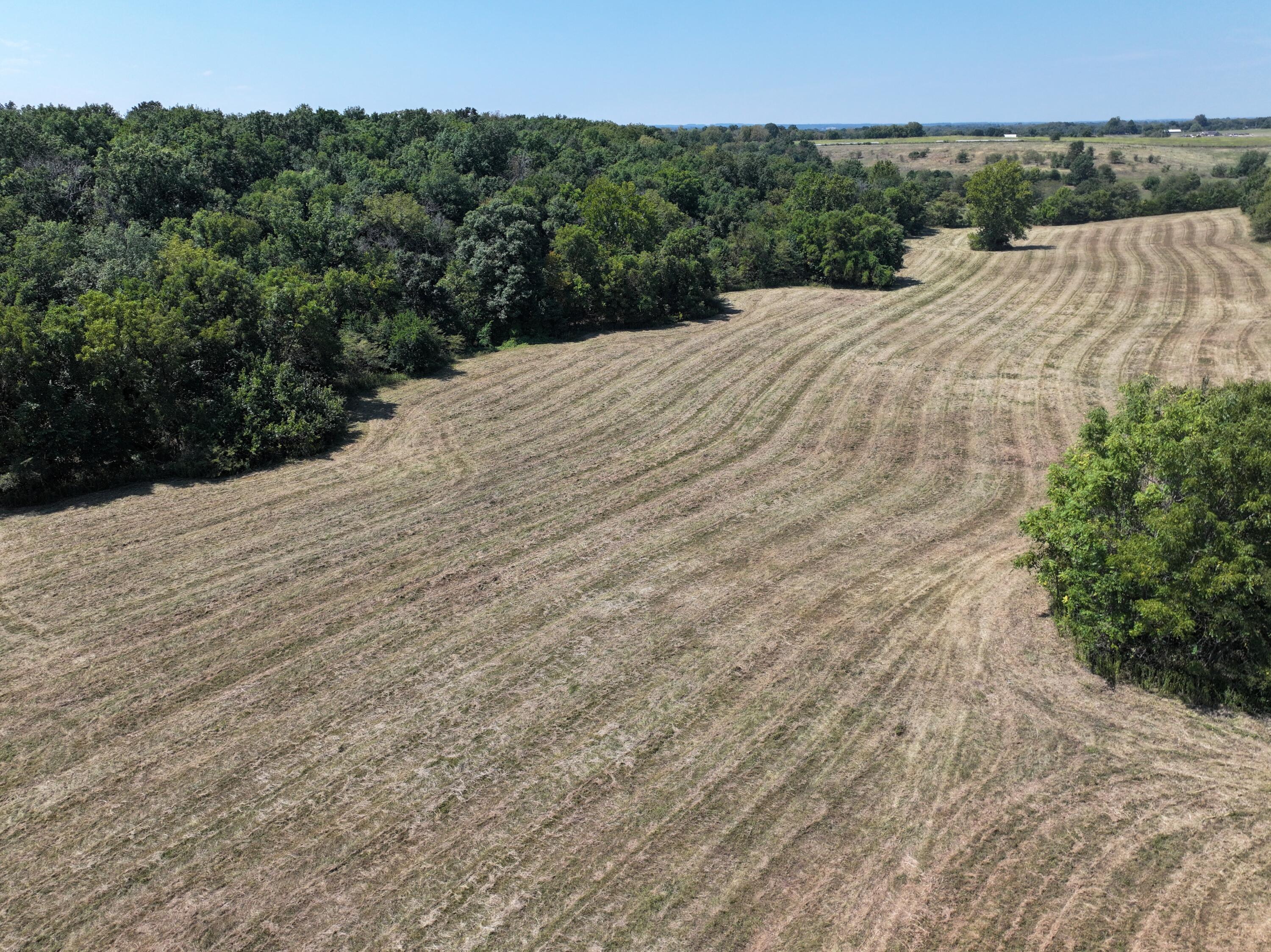 Photo 21 - Land for sale – 000-B S 140th Road  Morrisville, MO