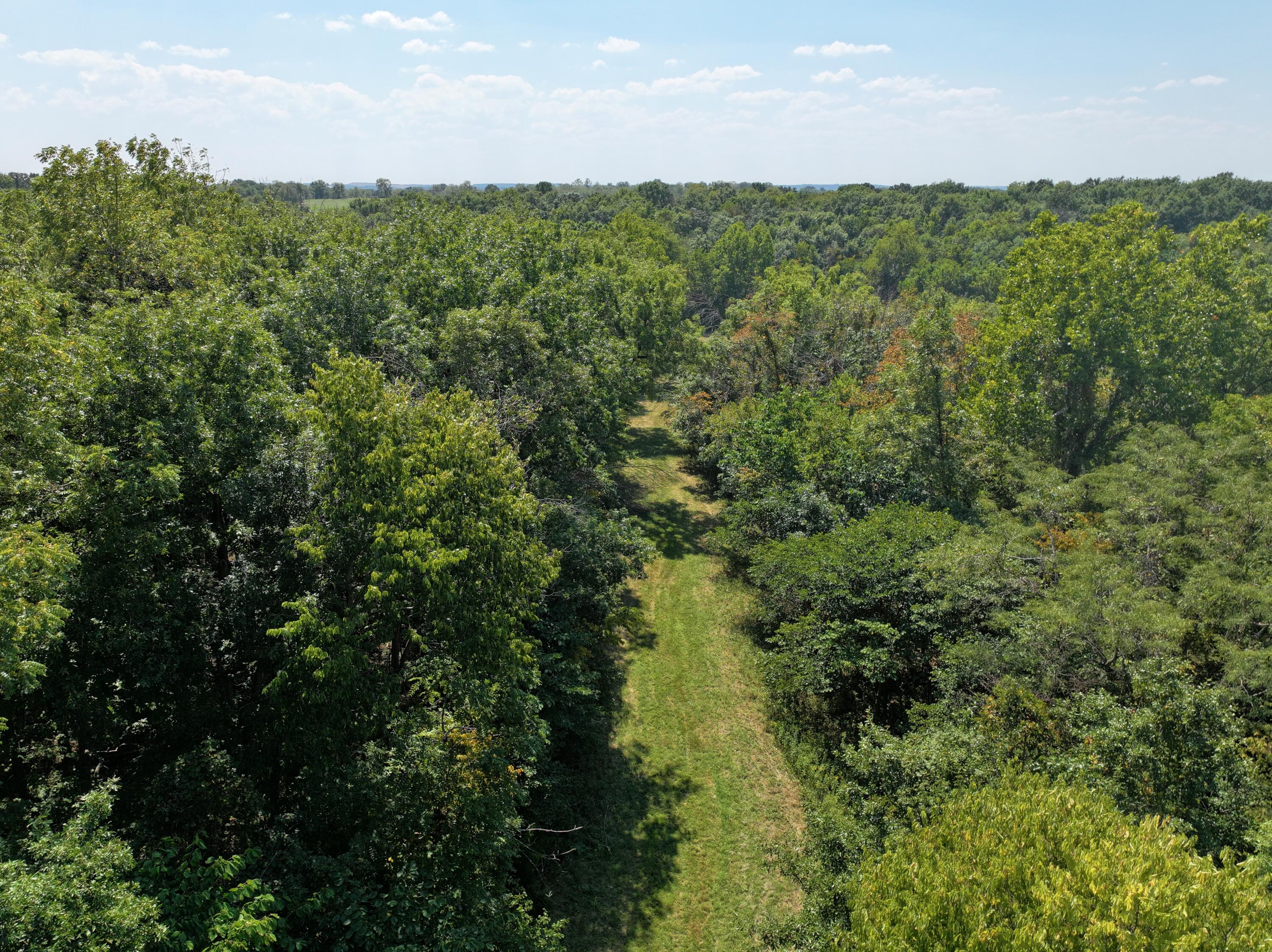 Photo 17 - Land for sale – 000-B S 140th Road  Morrisville, MO