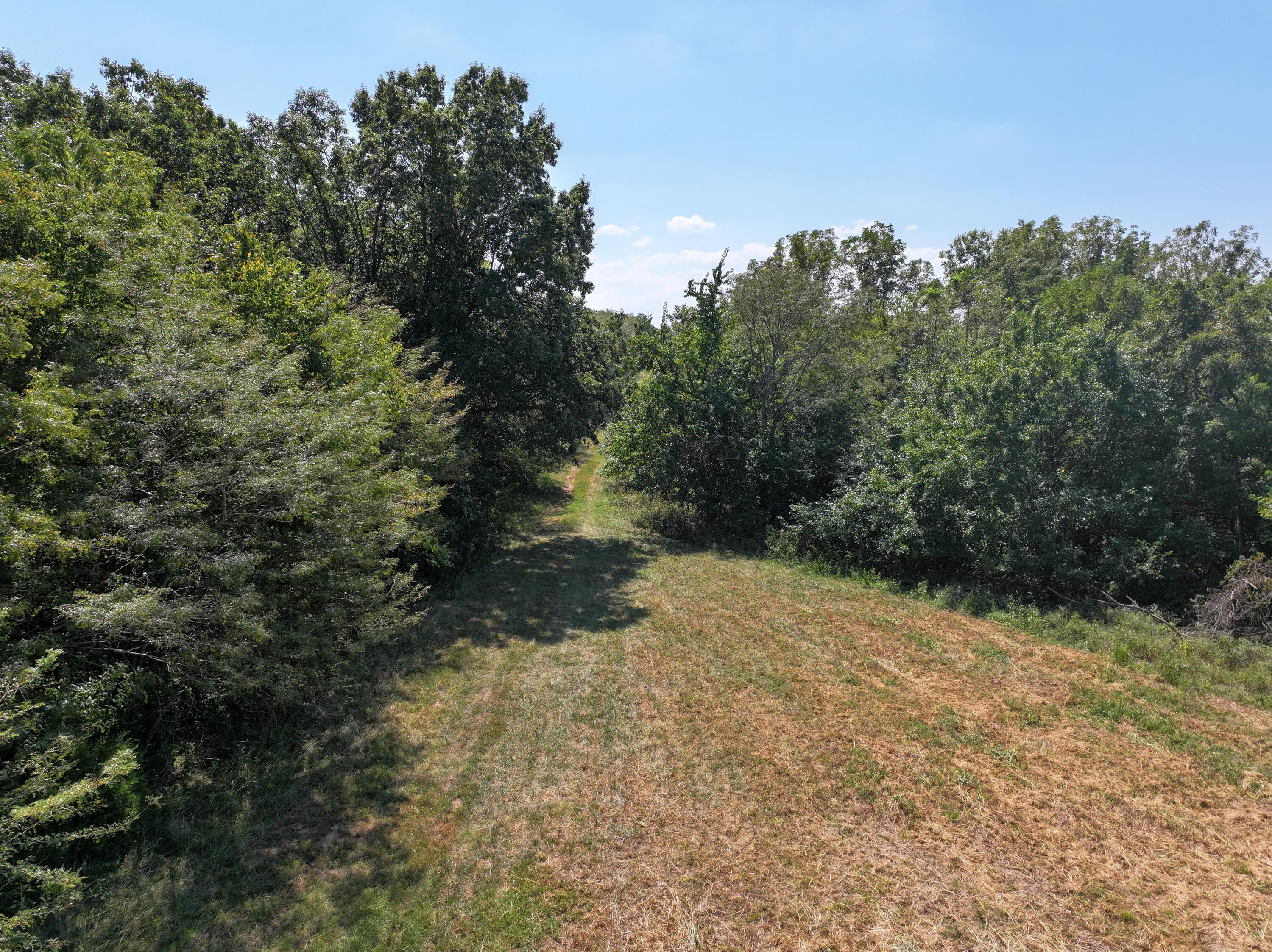 Photo 12 - Land for sale – 000-B S 140th Road  Morrisville, MO