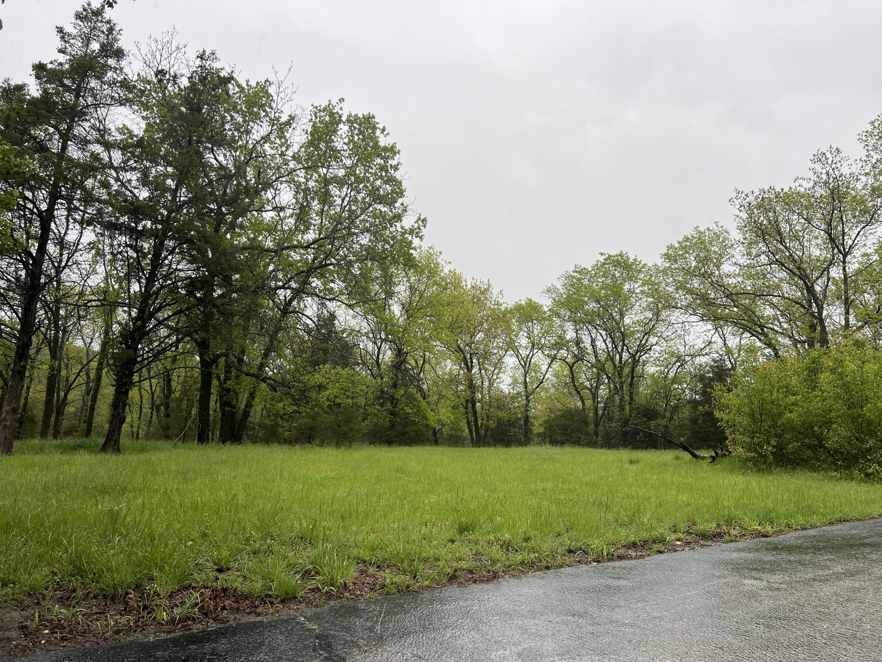 Photo 21 - Land for sale – 000  Fi Anna Lane  Ozark, MO