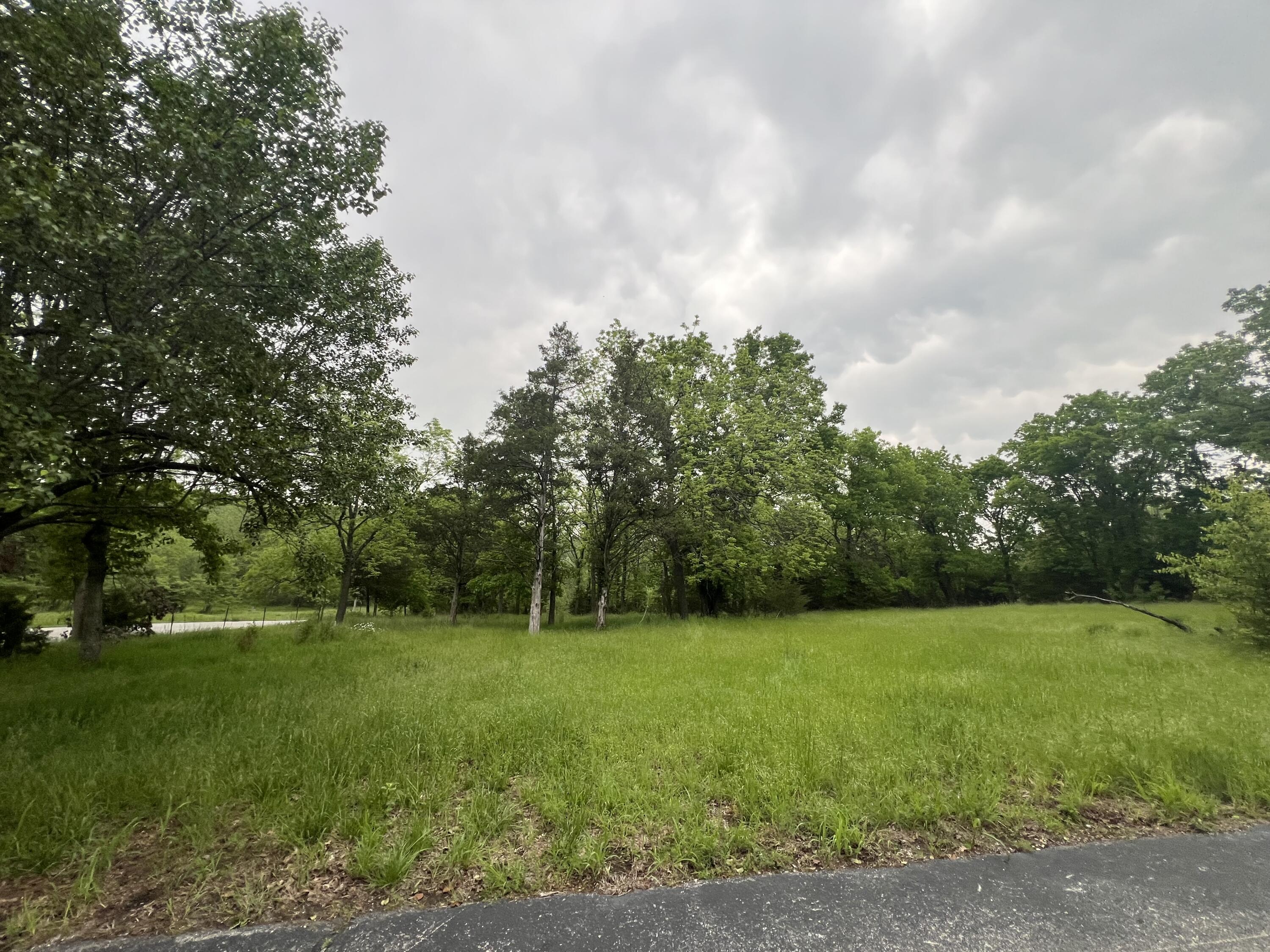 Photo 20 - Land for sale – 000  Fi Anna Lane  Ozark, MO