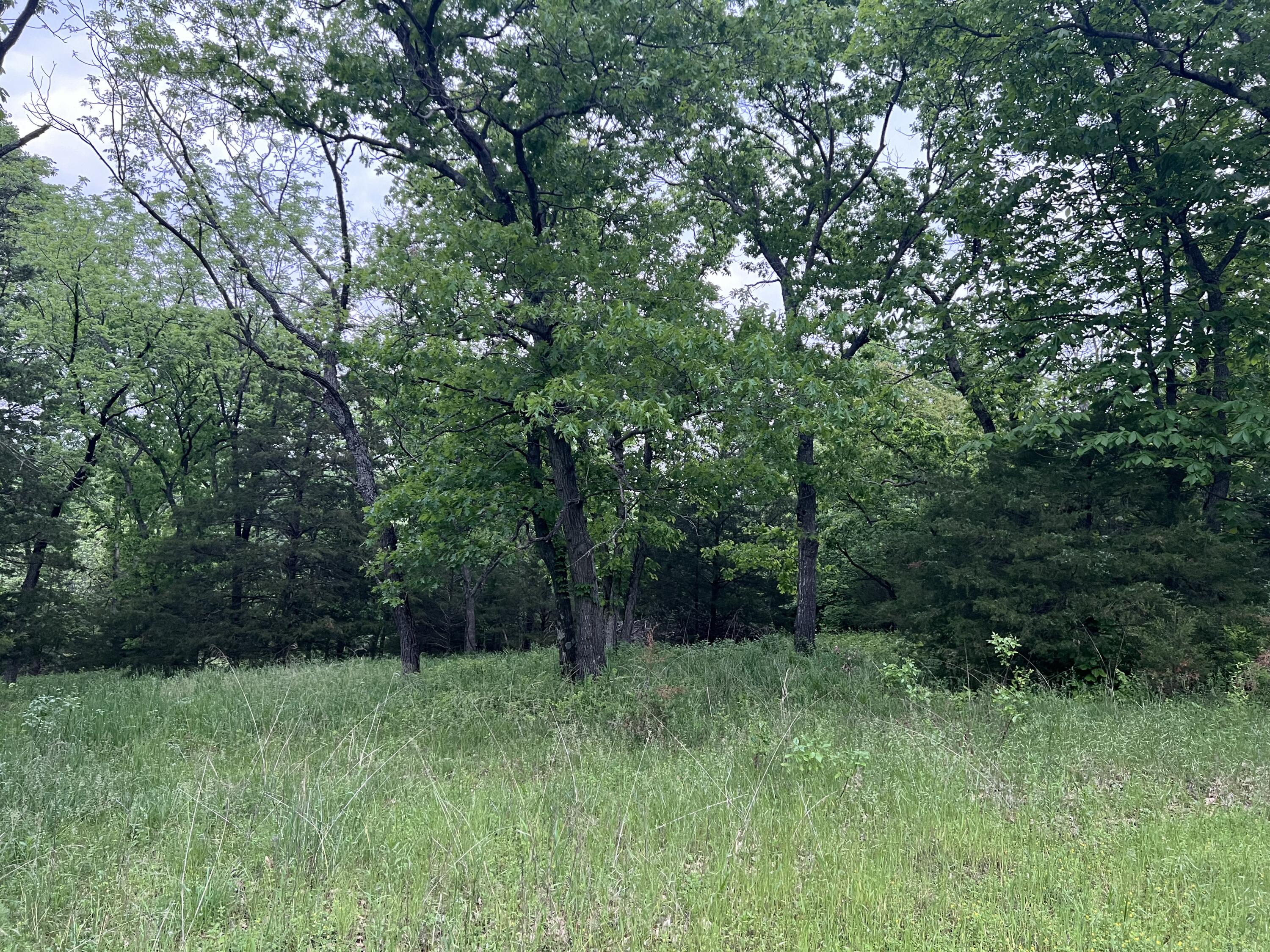 Photo 11 - Land for sale – 000  Fi Anna Lane  Ozark, MO