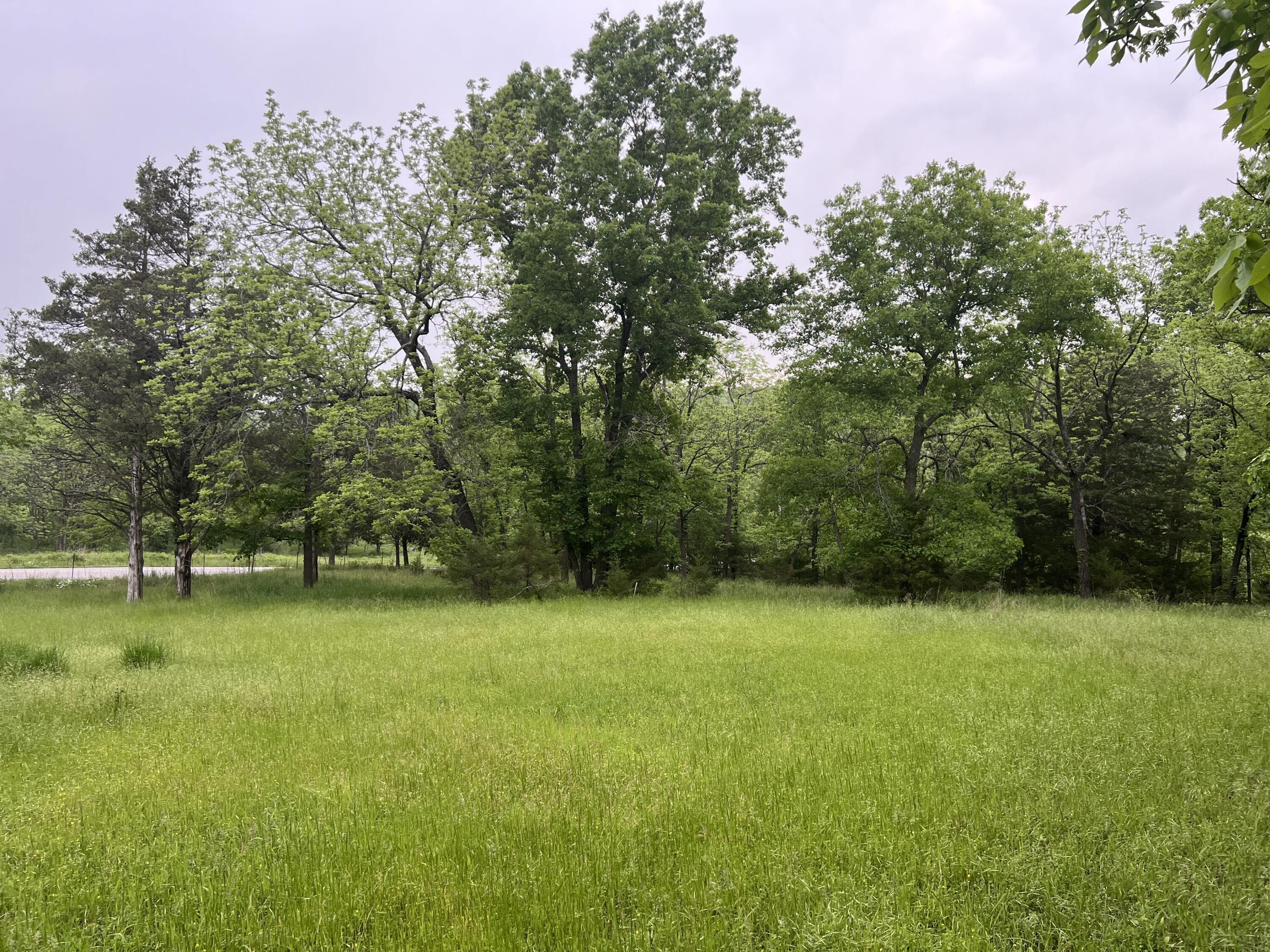 Photo 19 - Land for sale – 000  Fi Anna Lane  Ozark, MO