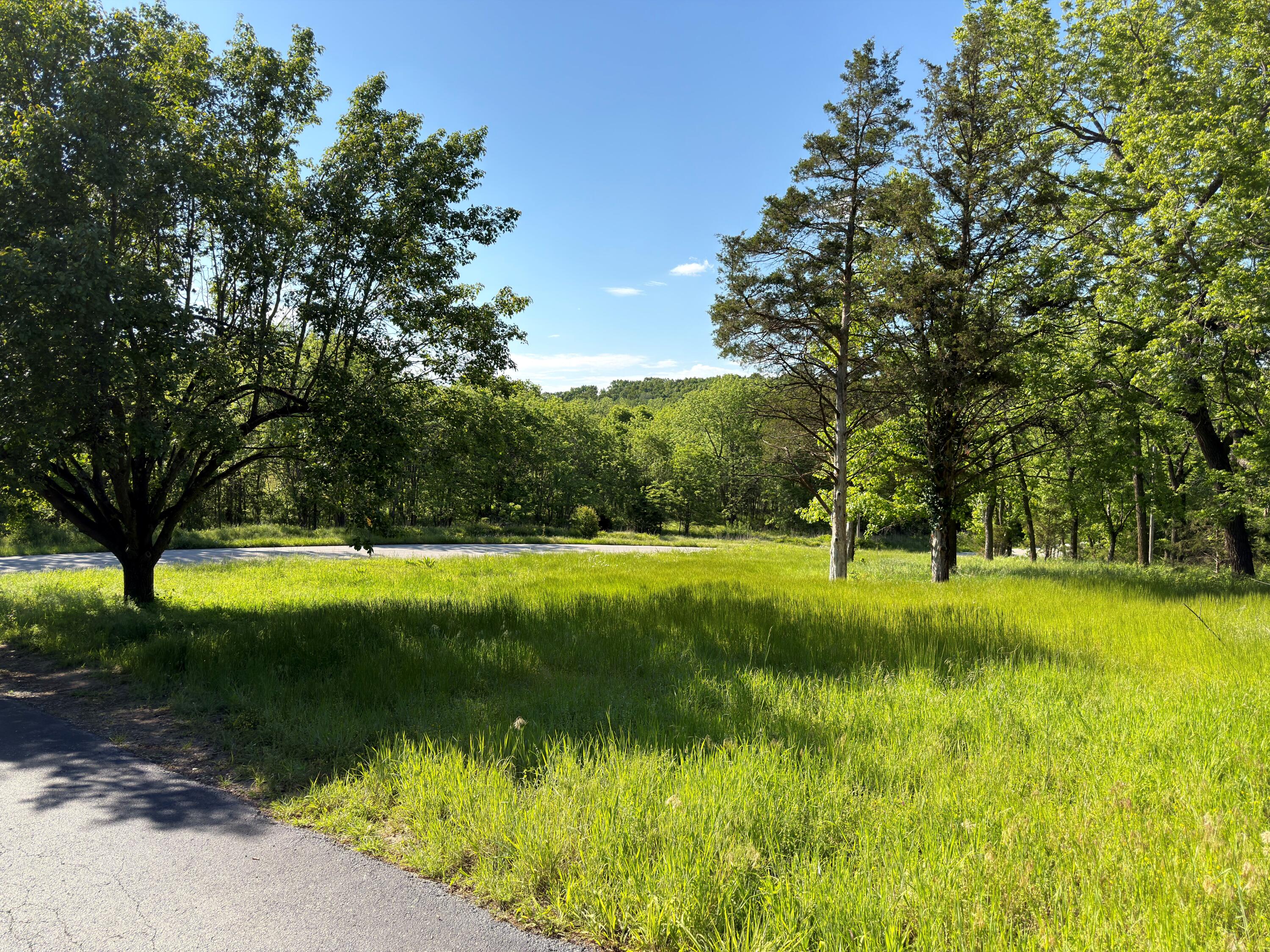 Photo 2 - Land for sale – 000  Fi Anna Lane  Ozark, MO